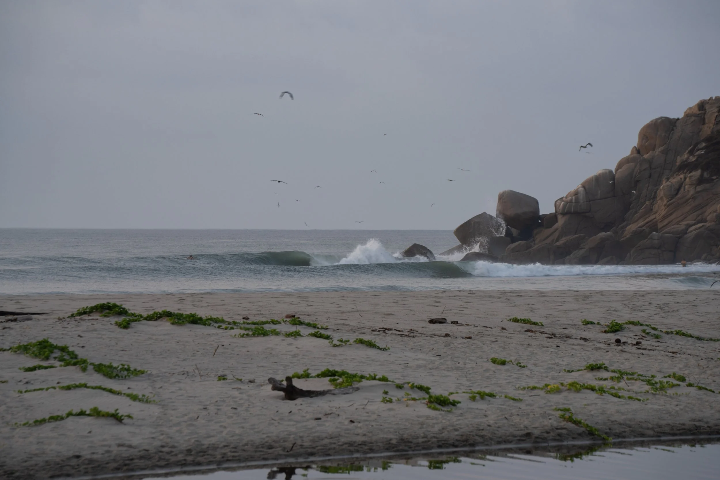 DSC01256.jpg