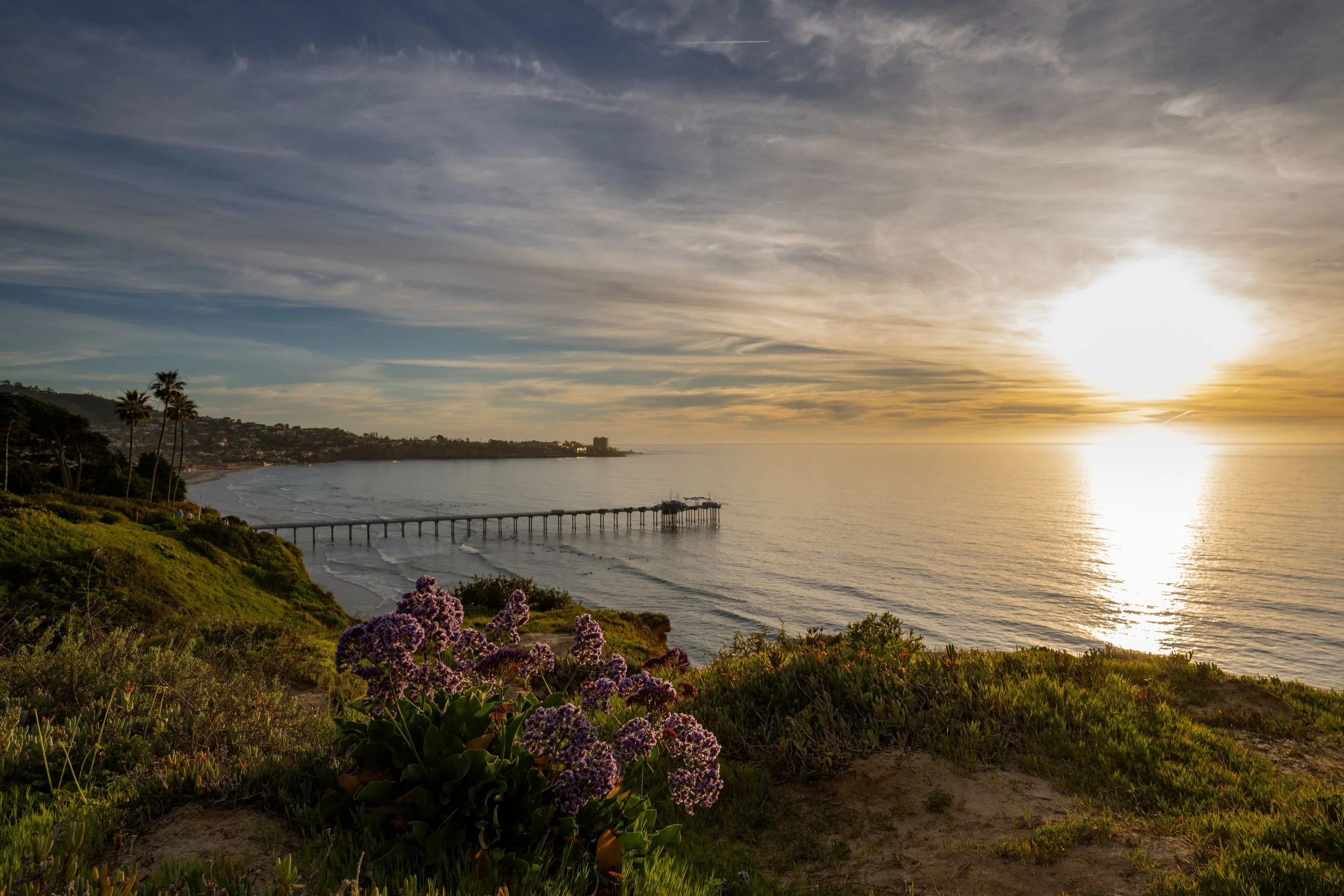 Scripps pier at sunset.