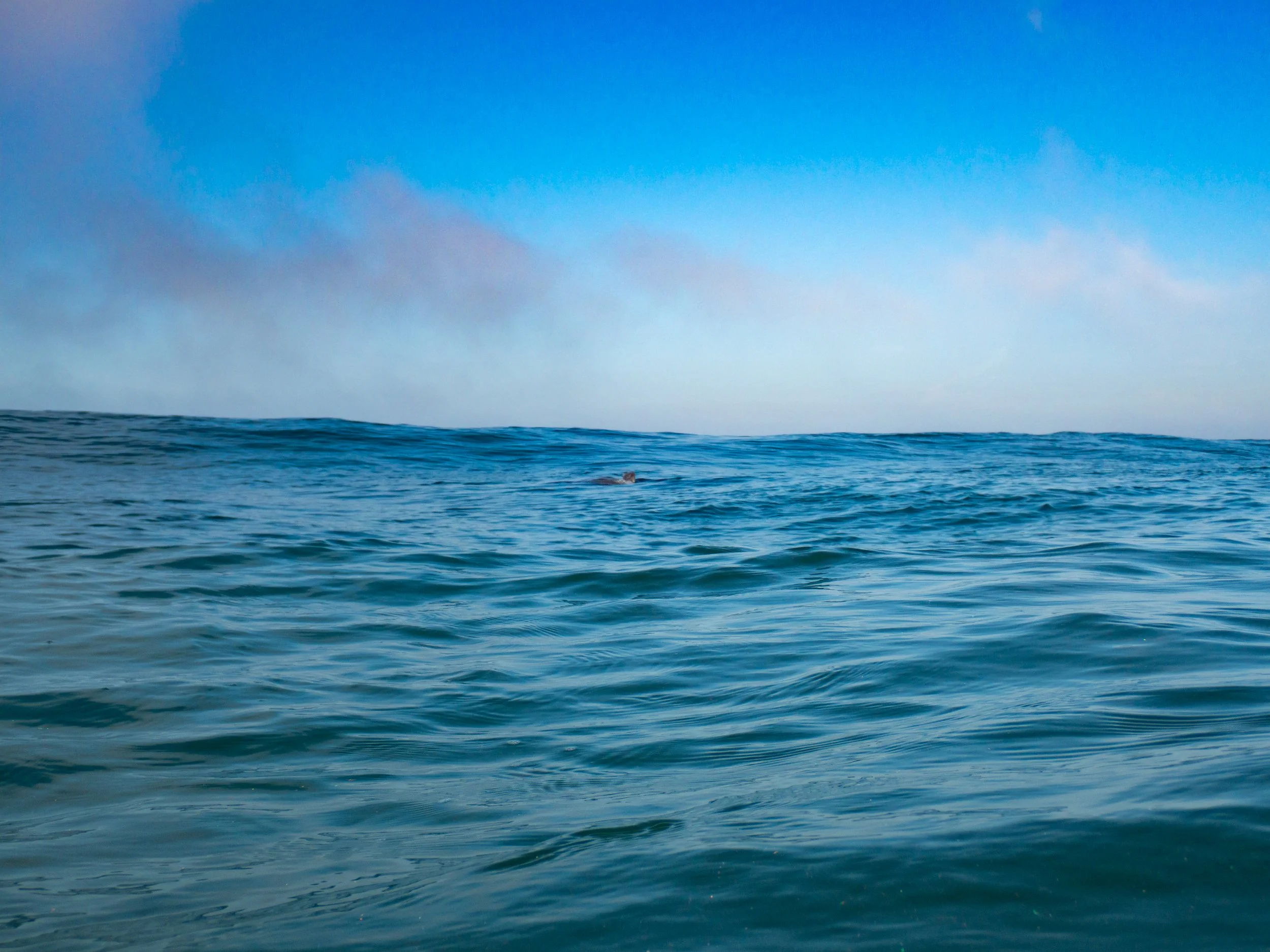 Ocean waves under a blue sky with some clouds in the distance.