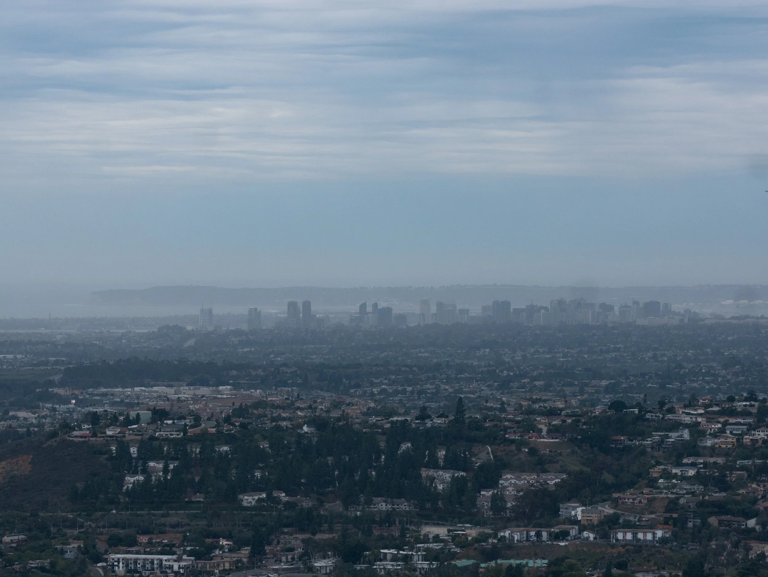 A cityscape view with a dense residential area in the foreground and downtown buildings in the background under a cloudy sky.