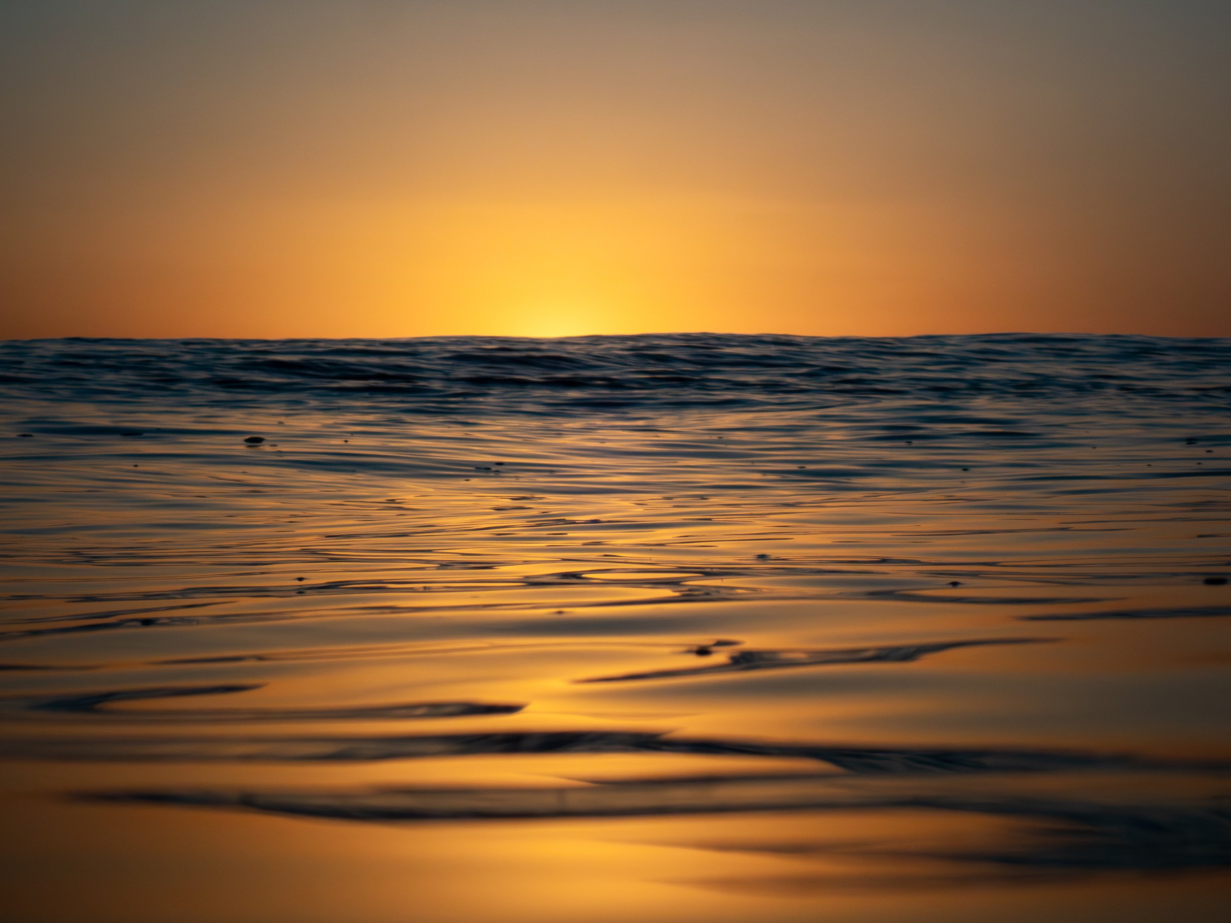 Sunset over a calm ocean with golden reflections on the water.