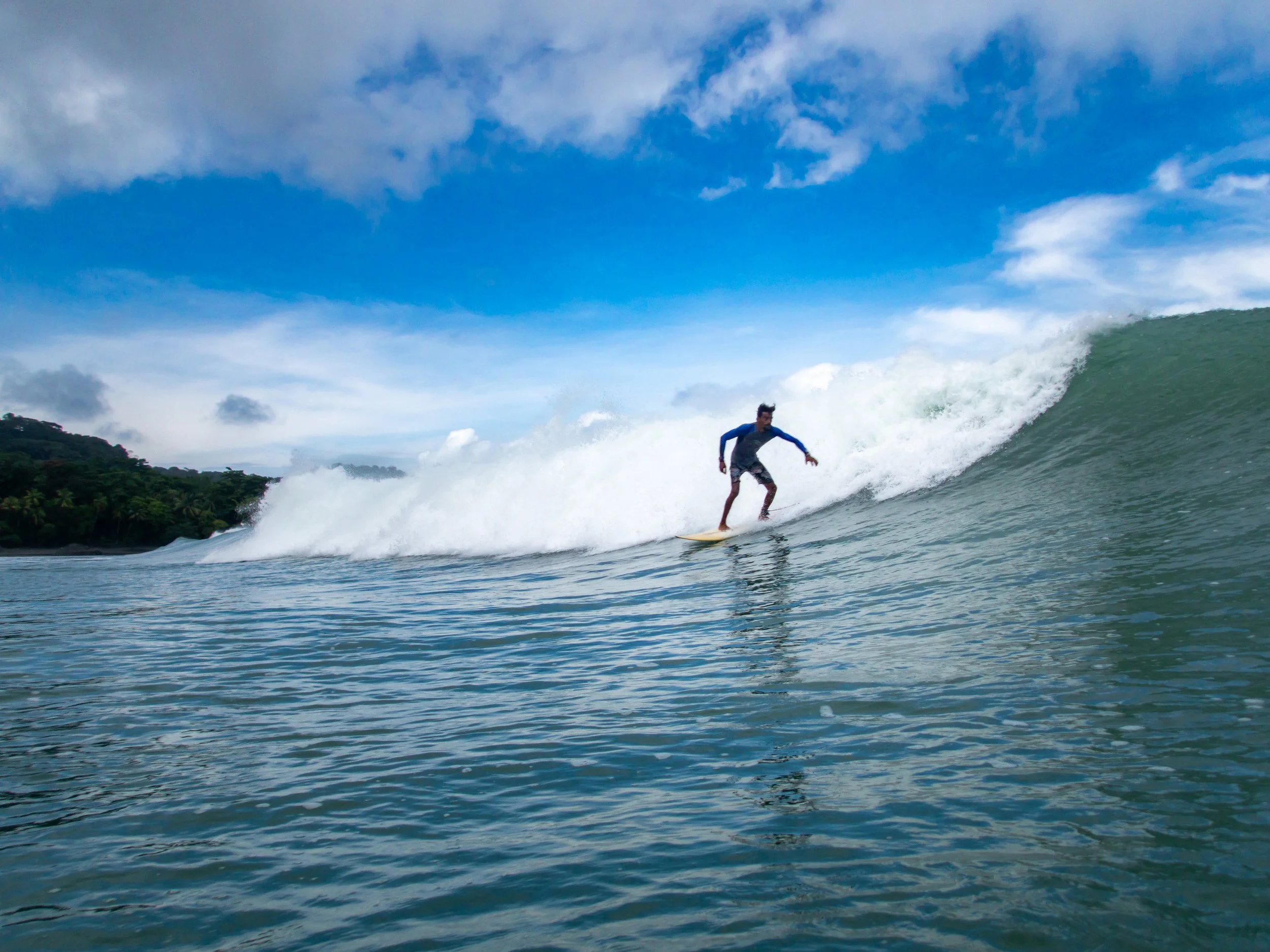 Surfer riding a wave in blue ocean under a cloudy sky, with a forested coastline in the background.