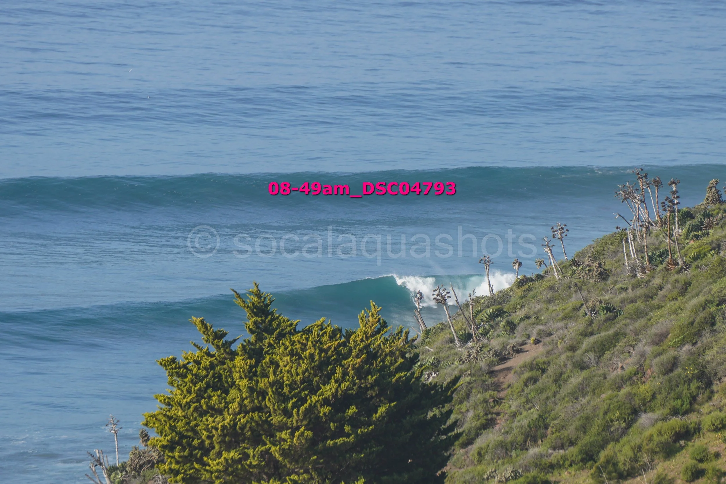 A surfer riding a wave near a coastal hillside with green bushes and a few tall, sparse trees, under a clear blue sky.