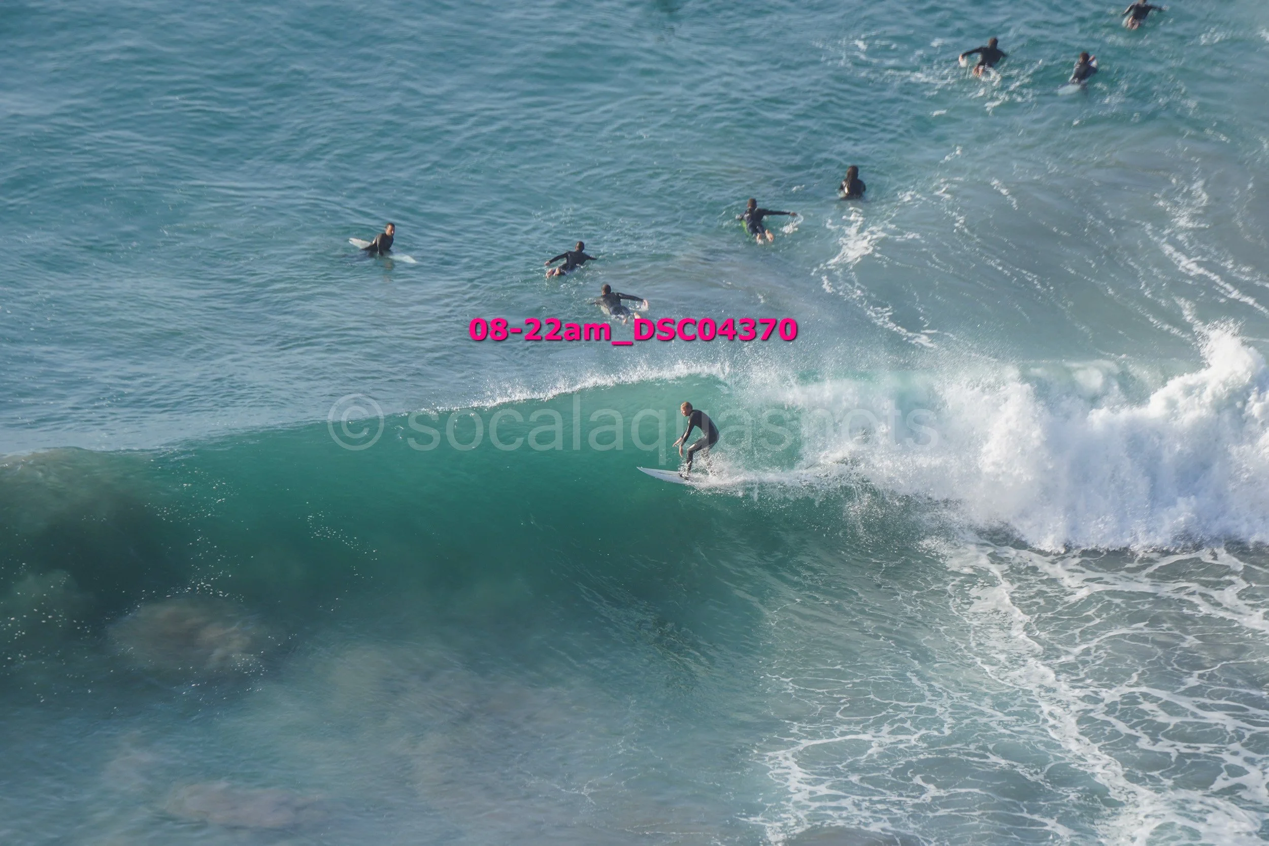 Surfer riding a wave while multiple people swim in the ocean nearby.