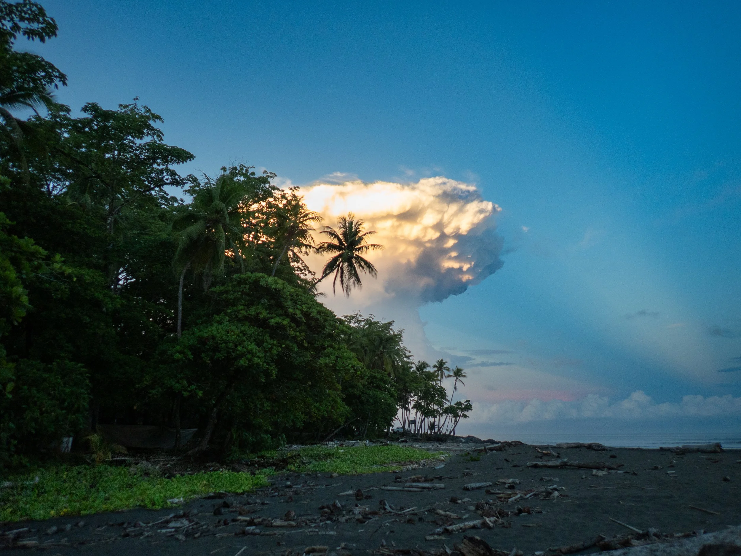 Tropical beach scene with lush green trees along the shoreline, dark sandy beach with scattered rocks, and blue sky with a large cloud formation at sunset.