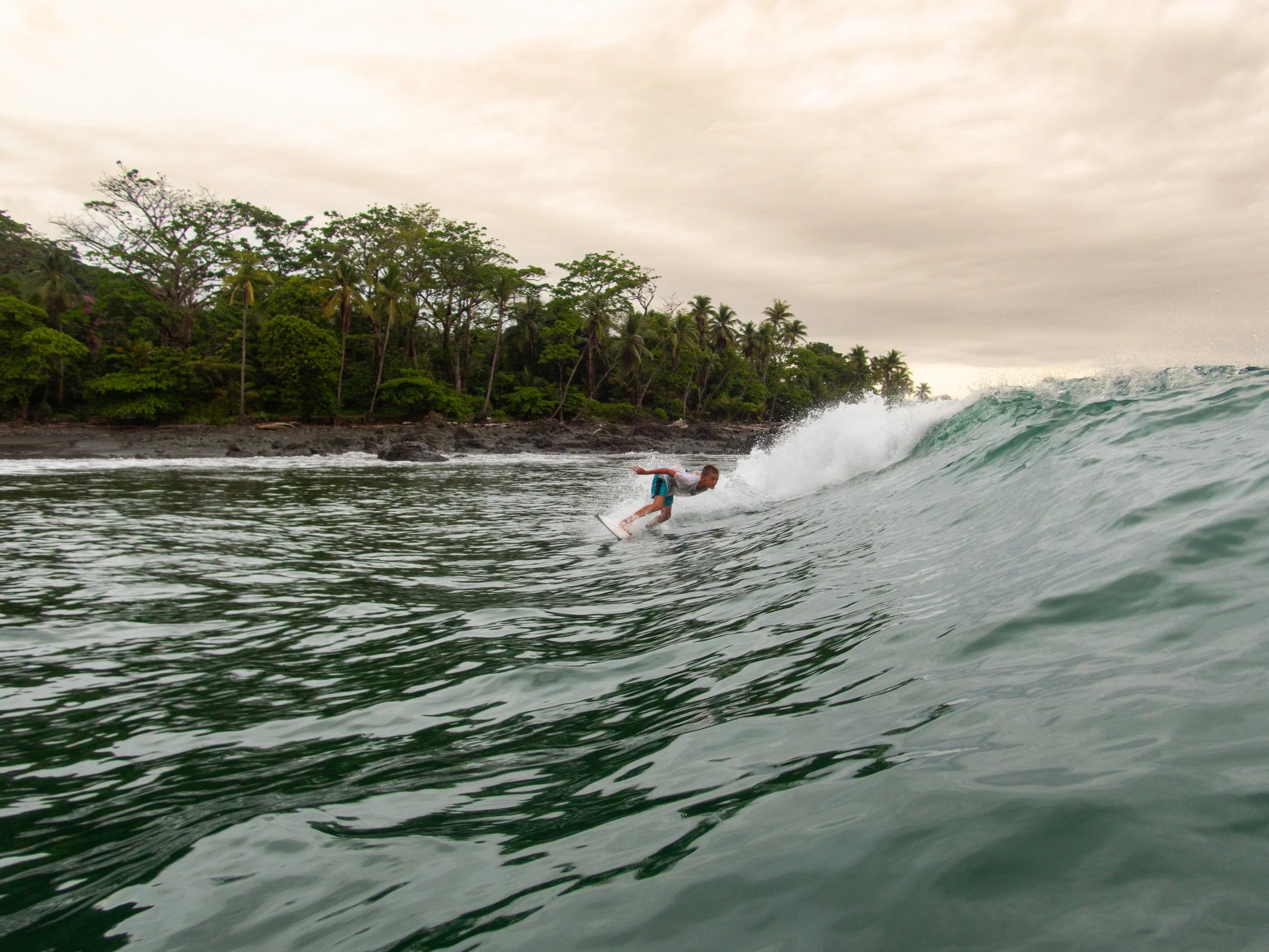 Surfer riding a wave near tropical shoreline