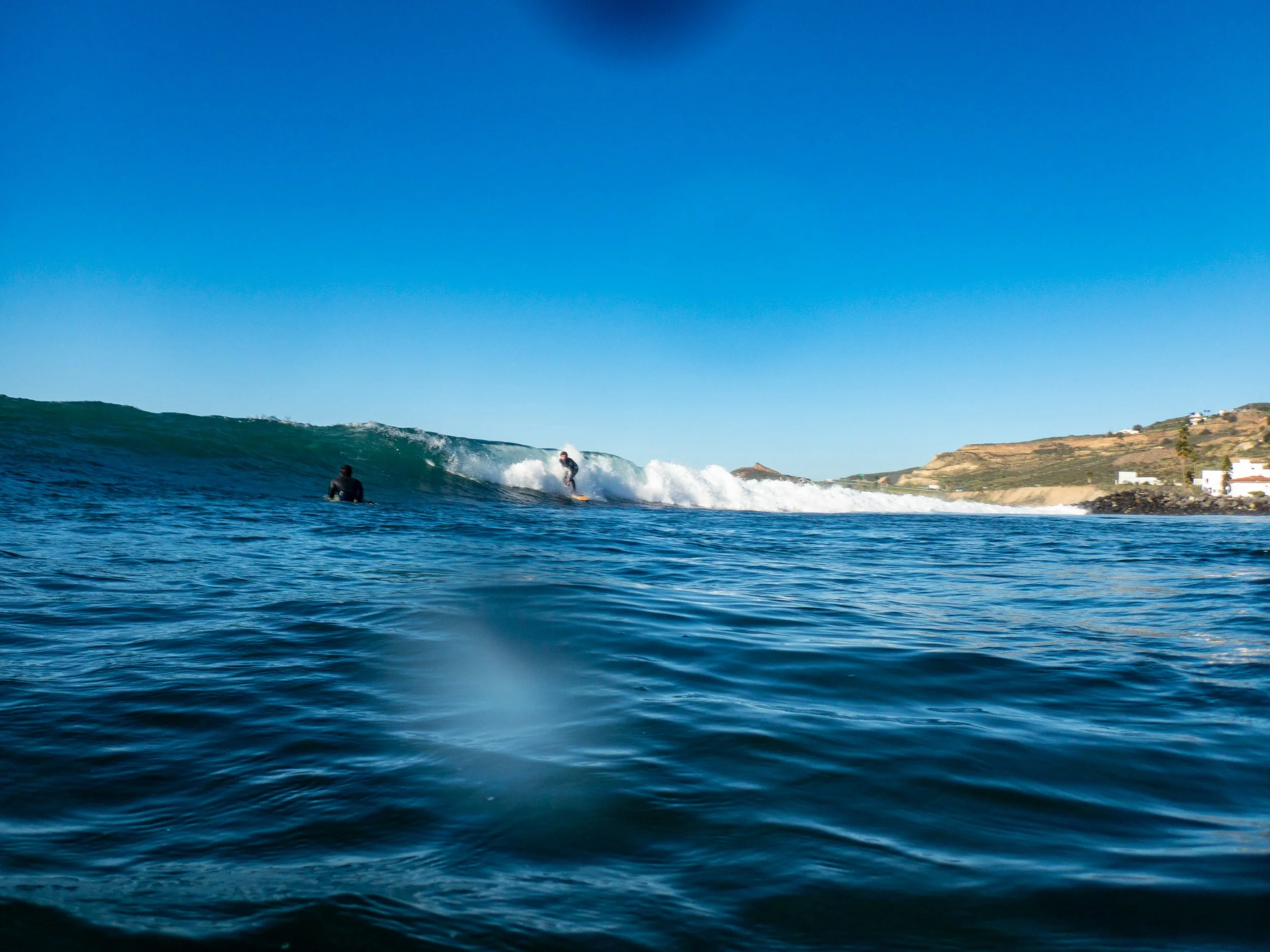 Surfer riding a wave in the ocean with a clear blue sky and shoreline with houses in the background.