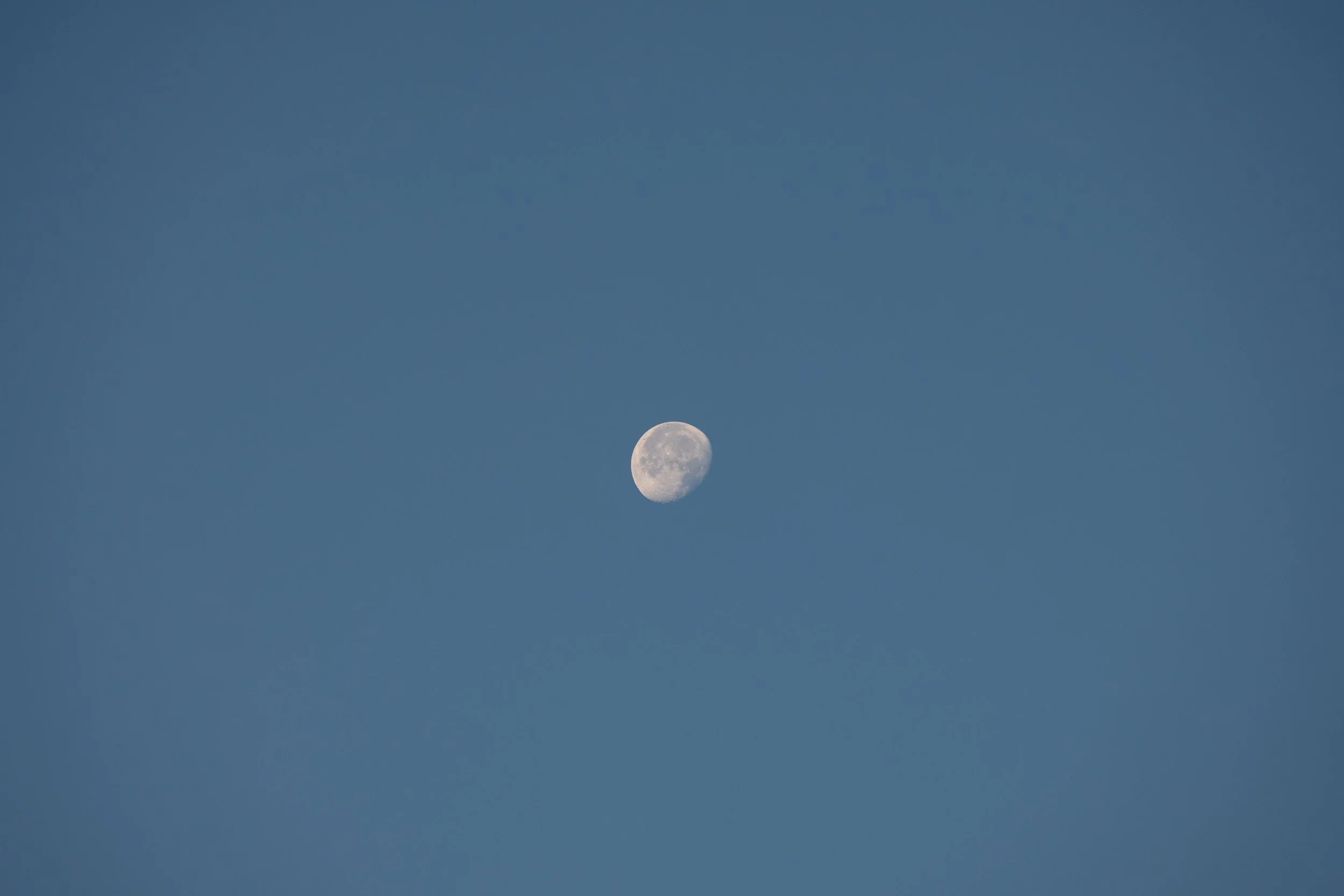 DSC08446.jpg
