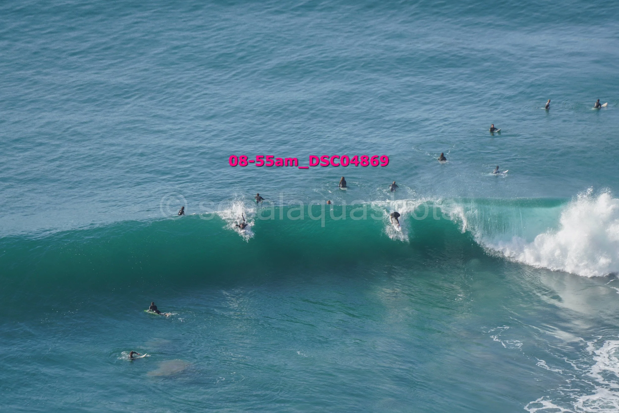 Multiple surfers in black wetsuits riding and waiting in the ocean alongside a large curling wave.