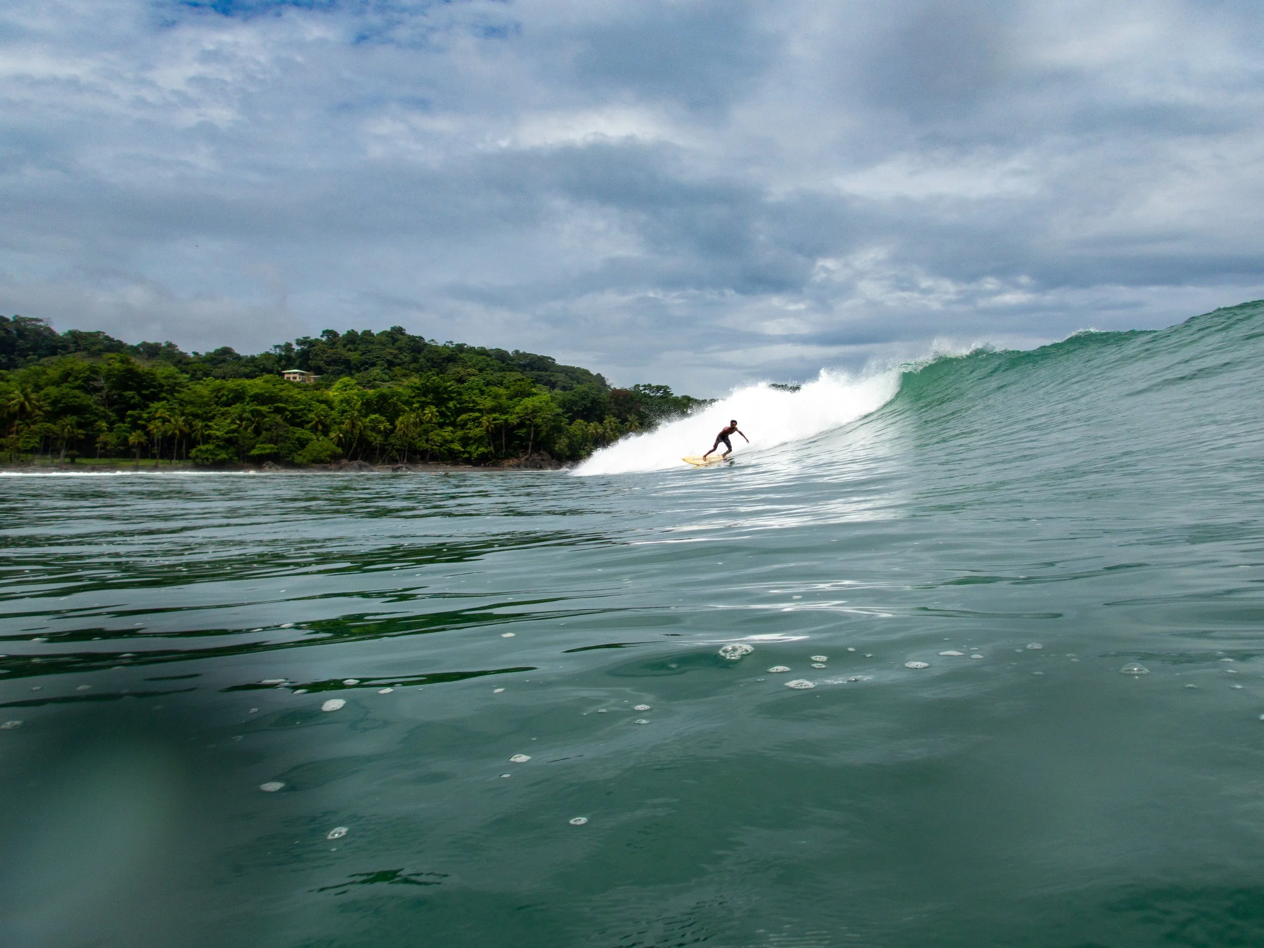 Surfer riding a large wave near a forested coastline