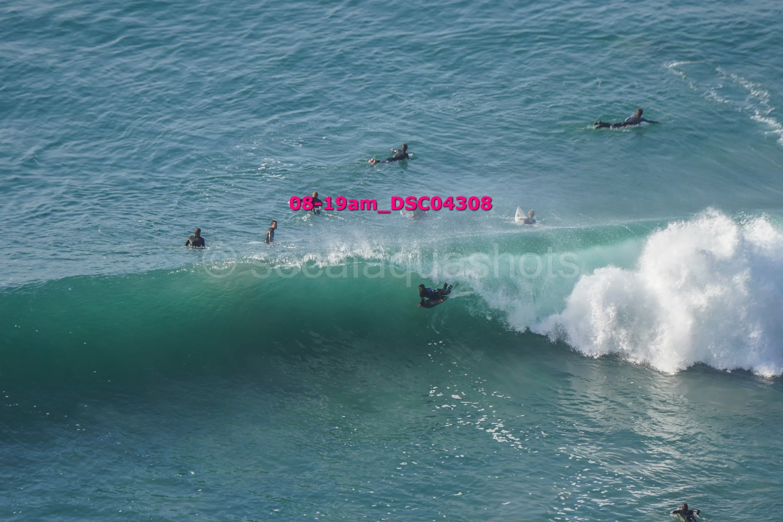 A group of surfers in wetsuits on the ocean with one surfer riding a wave and others floating in the water.
