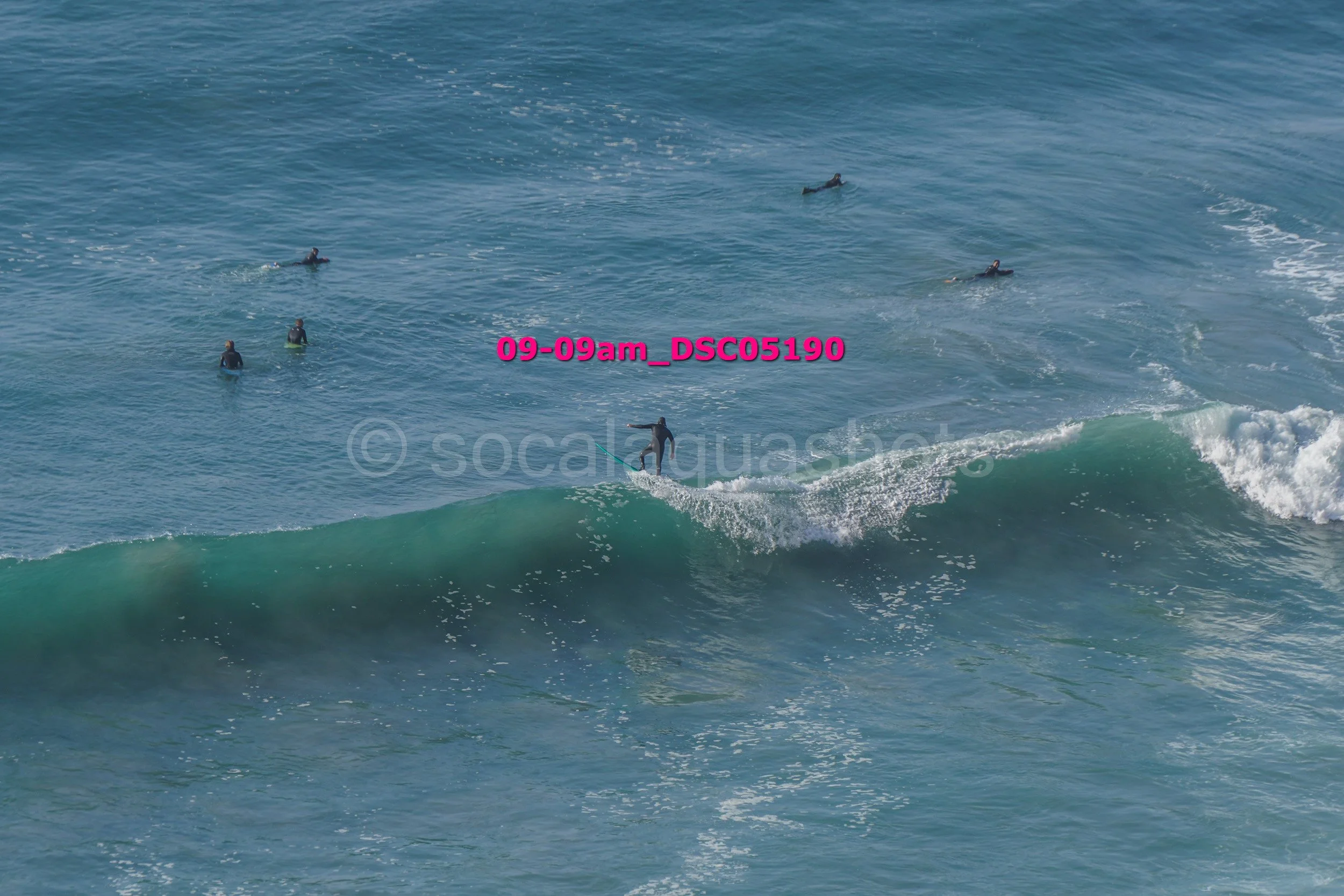 Surfer riding a wave while multiple surfers wait in the water nearby.
