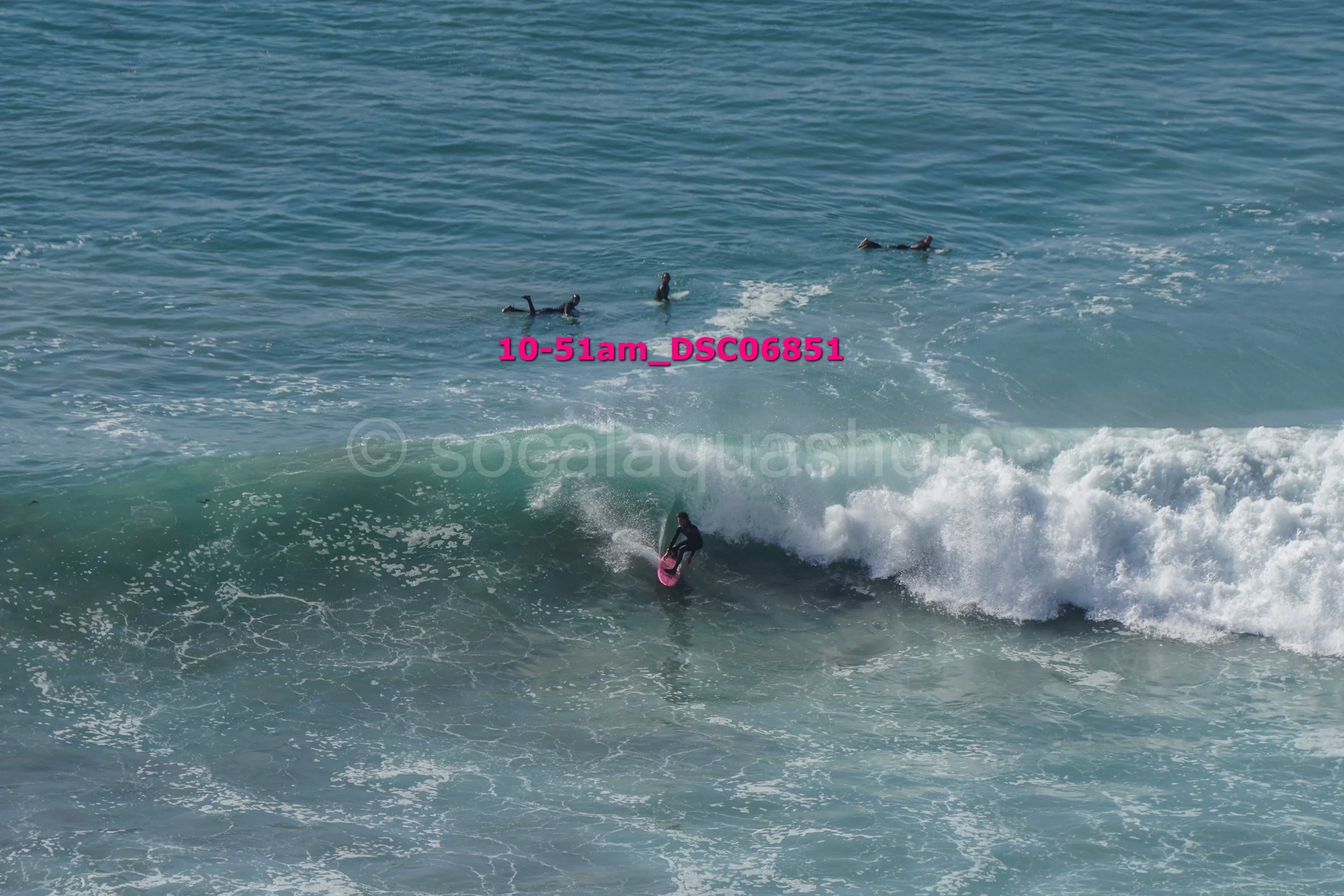 A person surfing on a pink surfboard riding a wave in the ocean with three others floating on their backs in the water nearby.