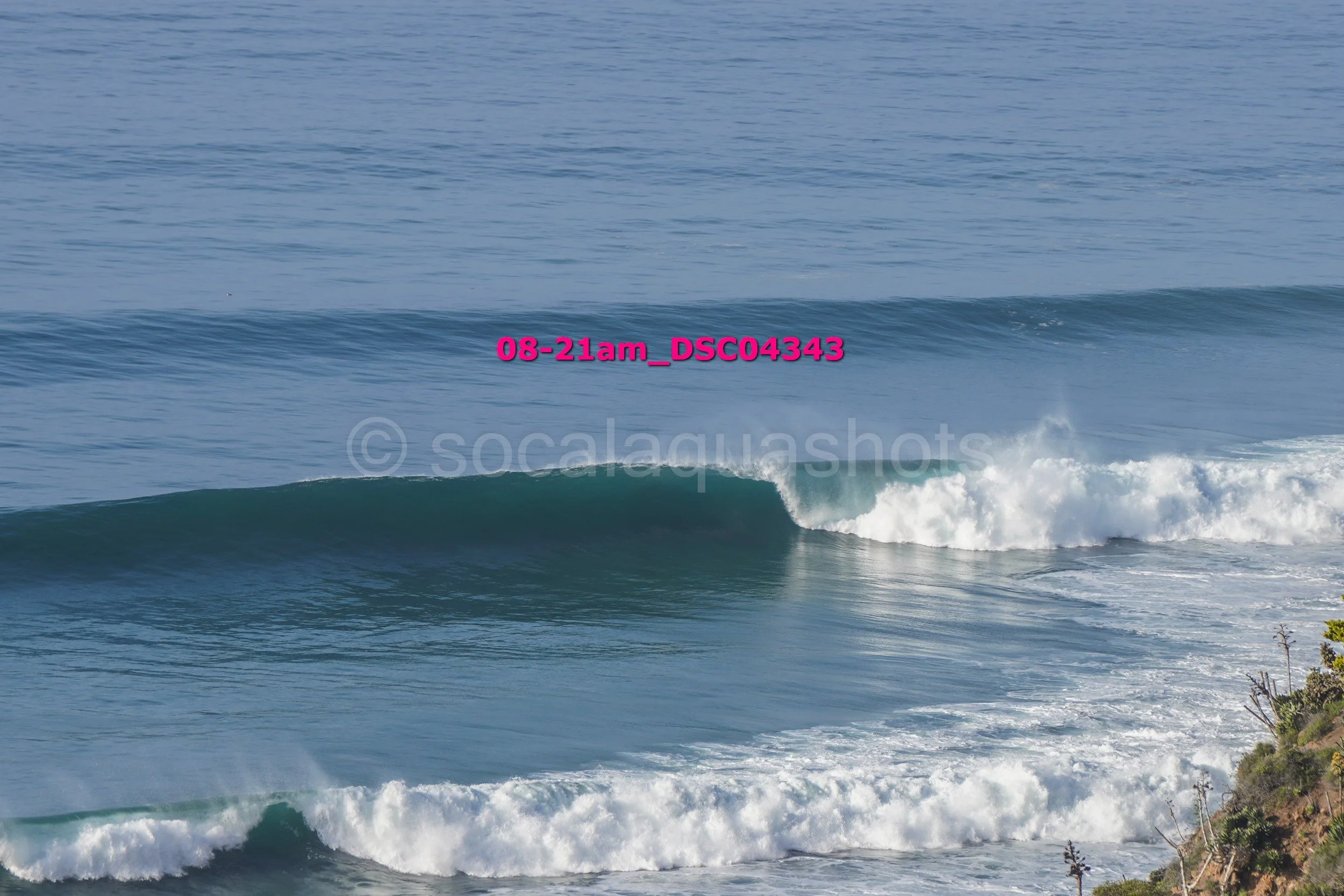 Ocean waves breaking near the shoreline with some plants visible in the bottom right corner.