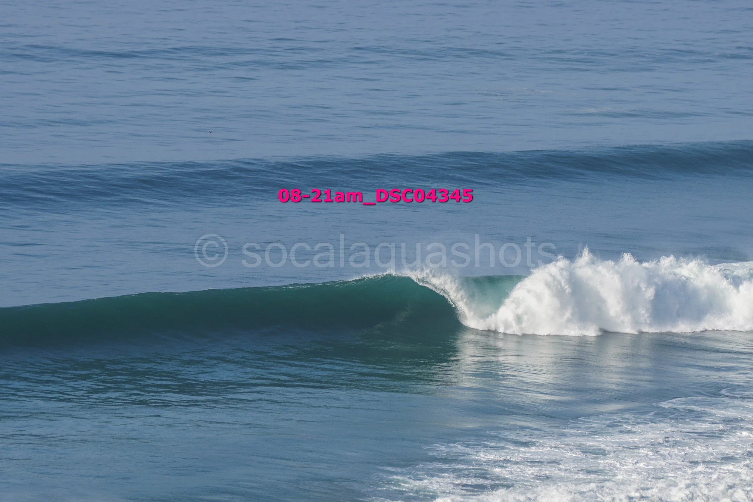 Ocean wave breaking with a small crest, blue water, and a clear sky.