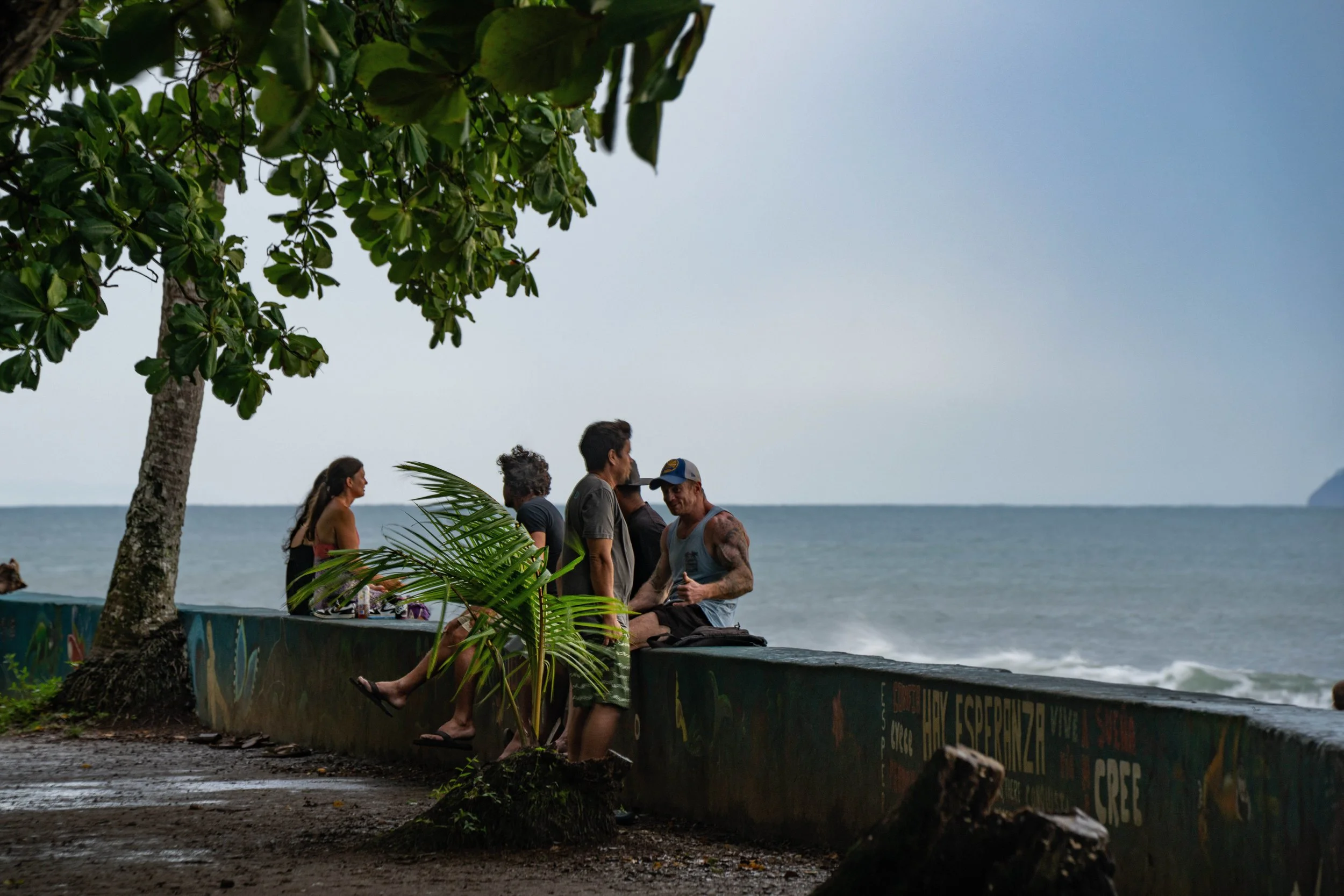 Group of people sitting and talking by the beach with trees and ocean in the background on an overcast day