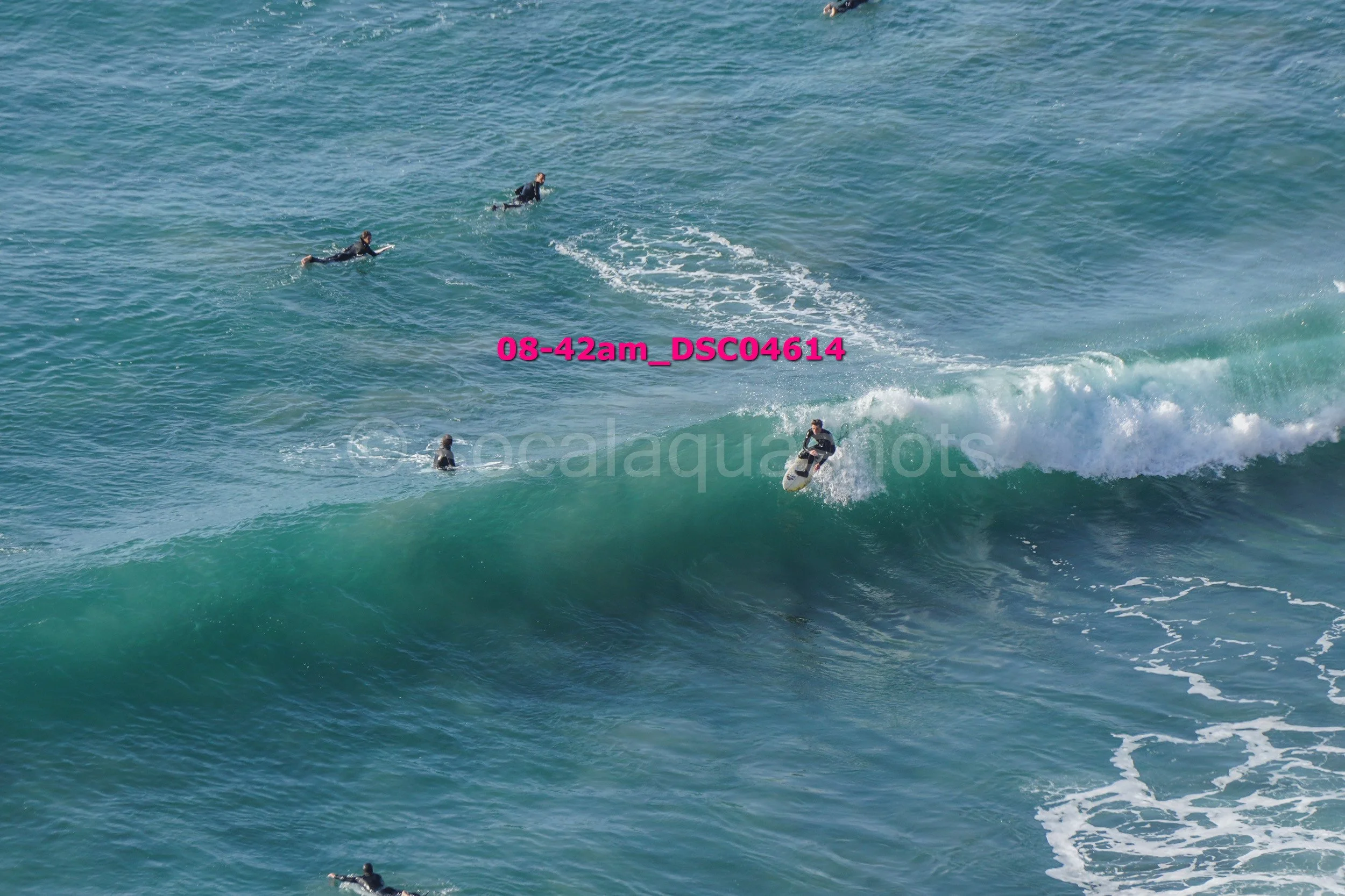 A group of surfers riding and waiting for waves in the ocean, some on surfboards and some in the water.