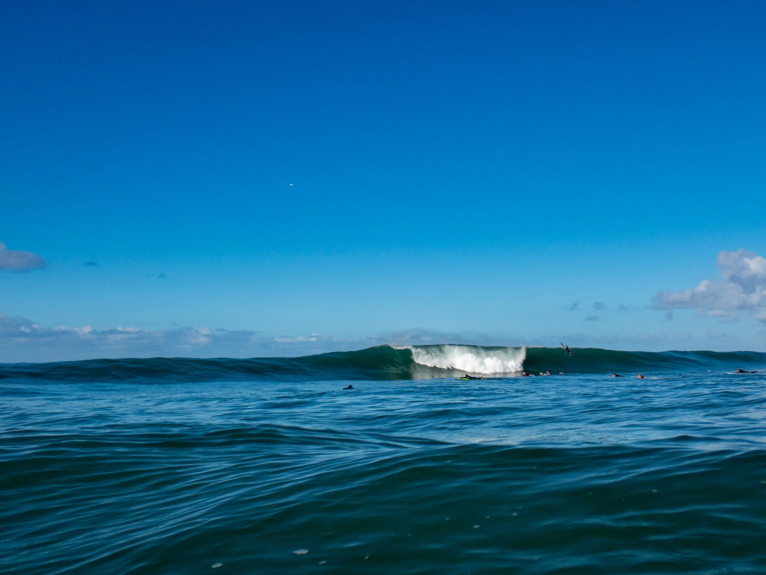 Surfers waiting for waves in the ocean under a clear blue sky.
