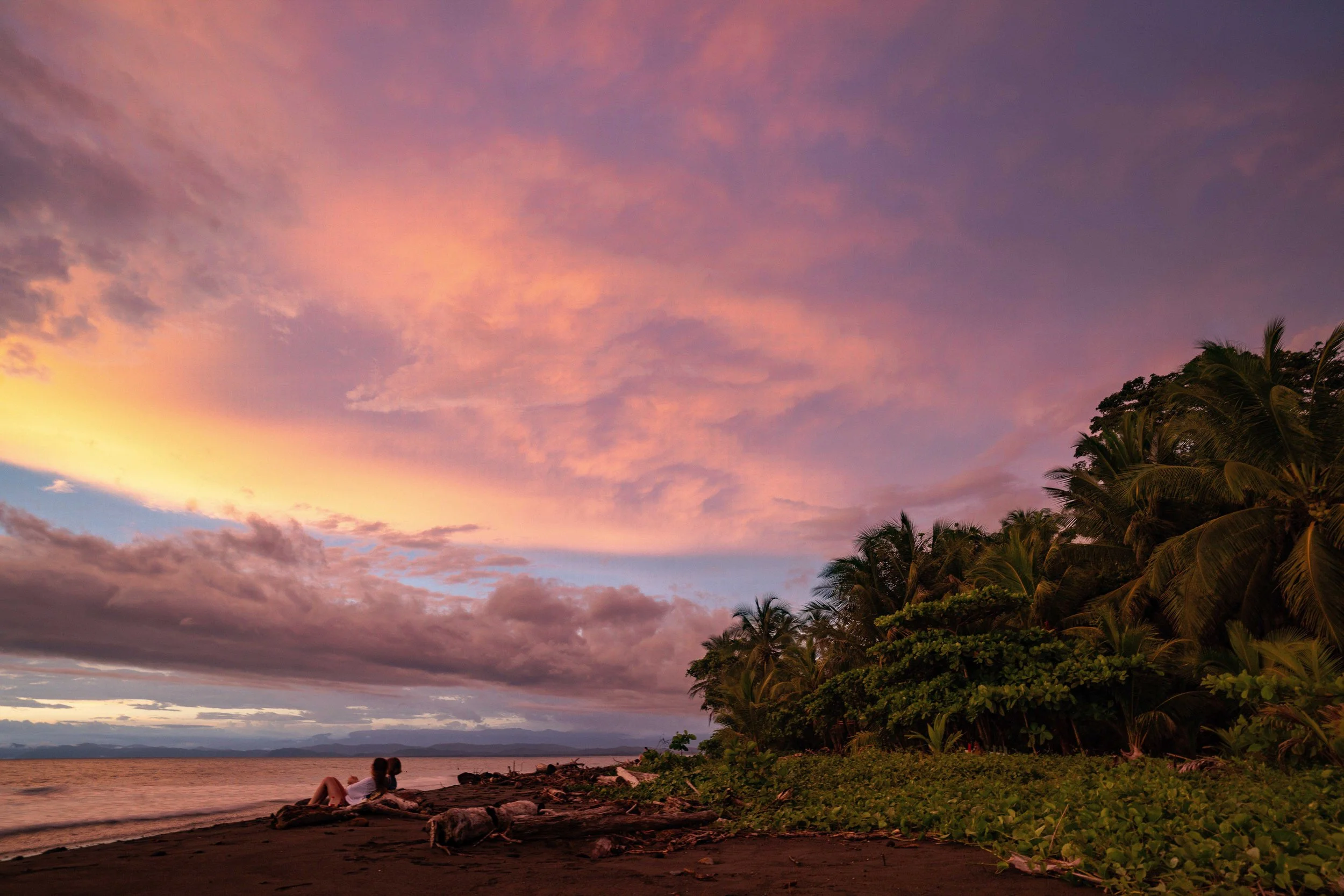 A scenic sunset over a beach with pink and purple clouds, palm trees, and two people sitting on the shore.