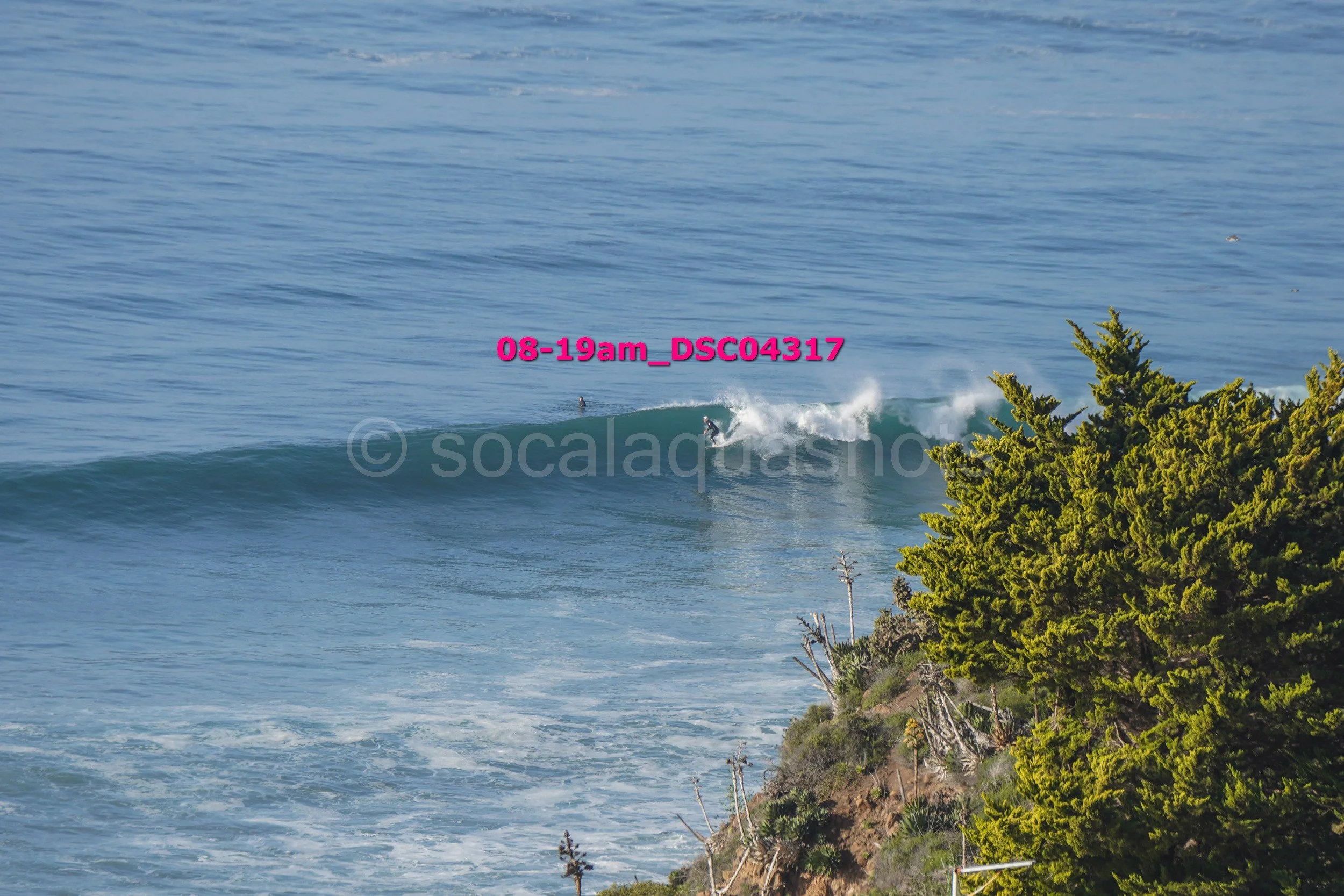 A person surfing on a wave near a rocky shoreline with green trees.