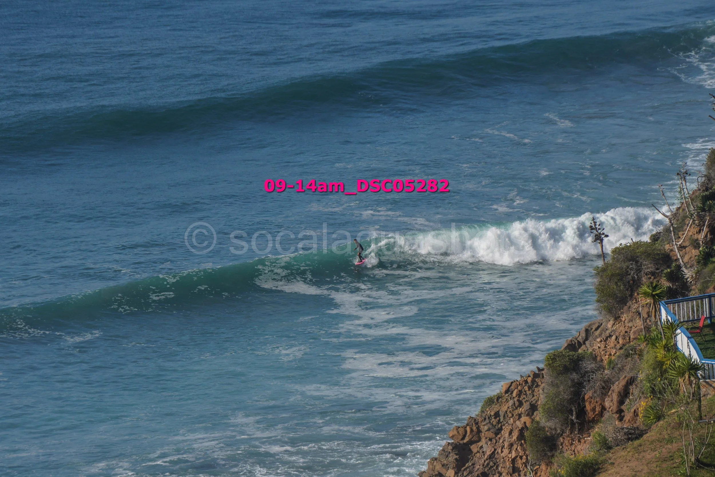 A person surfing on a wave near a rocky shoreline with houses and palm trees on the right side