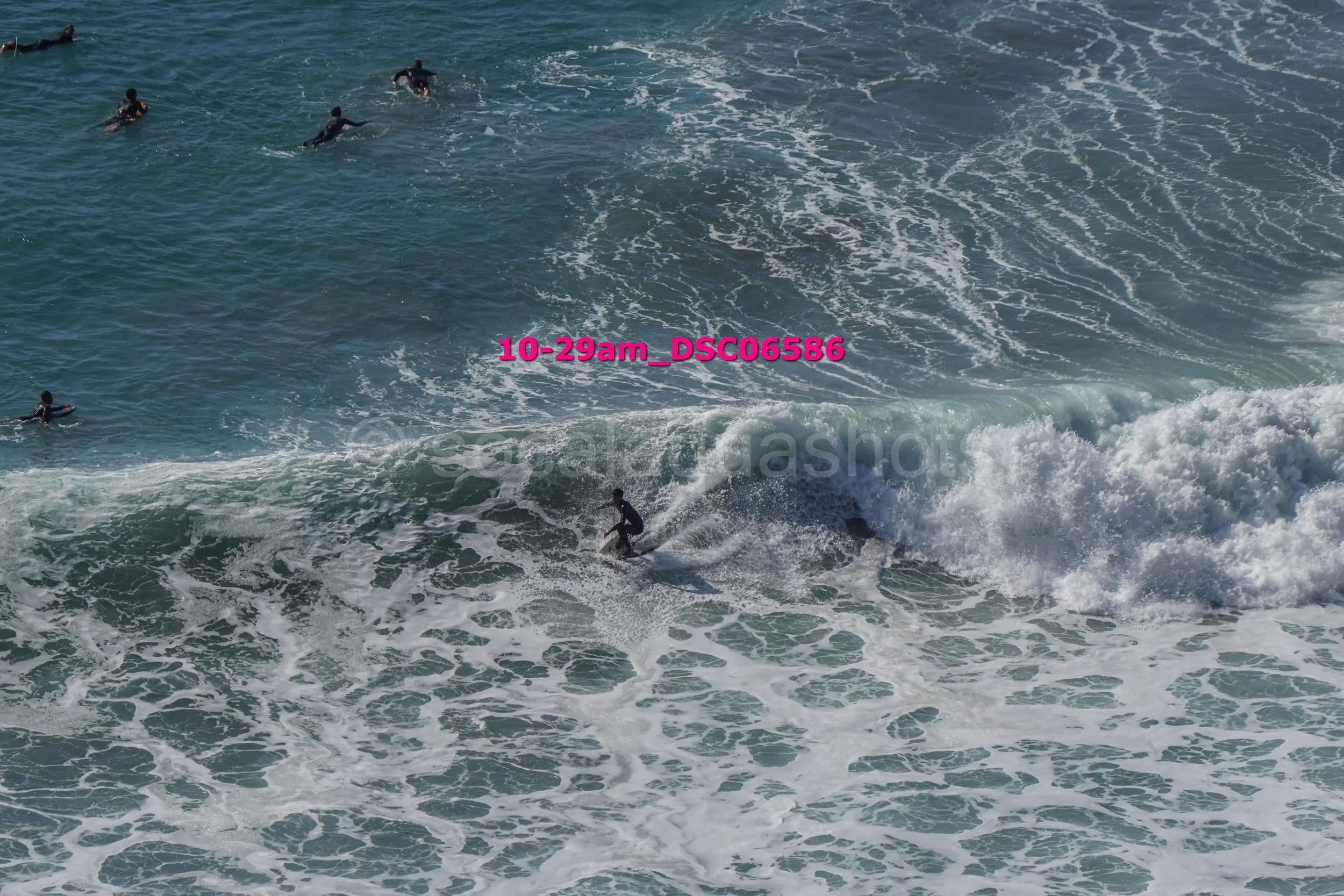 Group of surfers in the ocean with one riding a wave and others paddling or waiting in the water.
