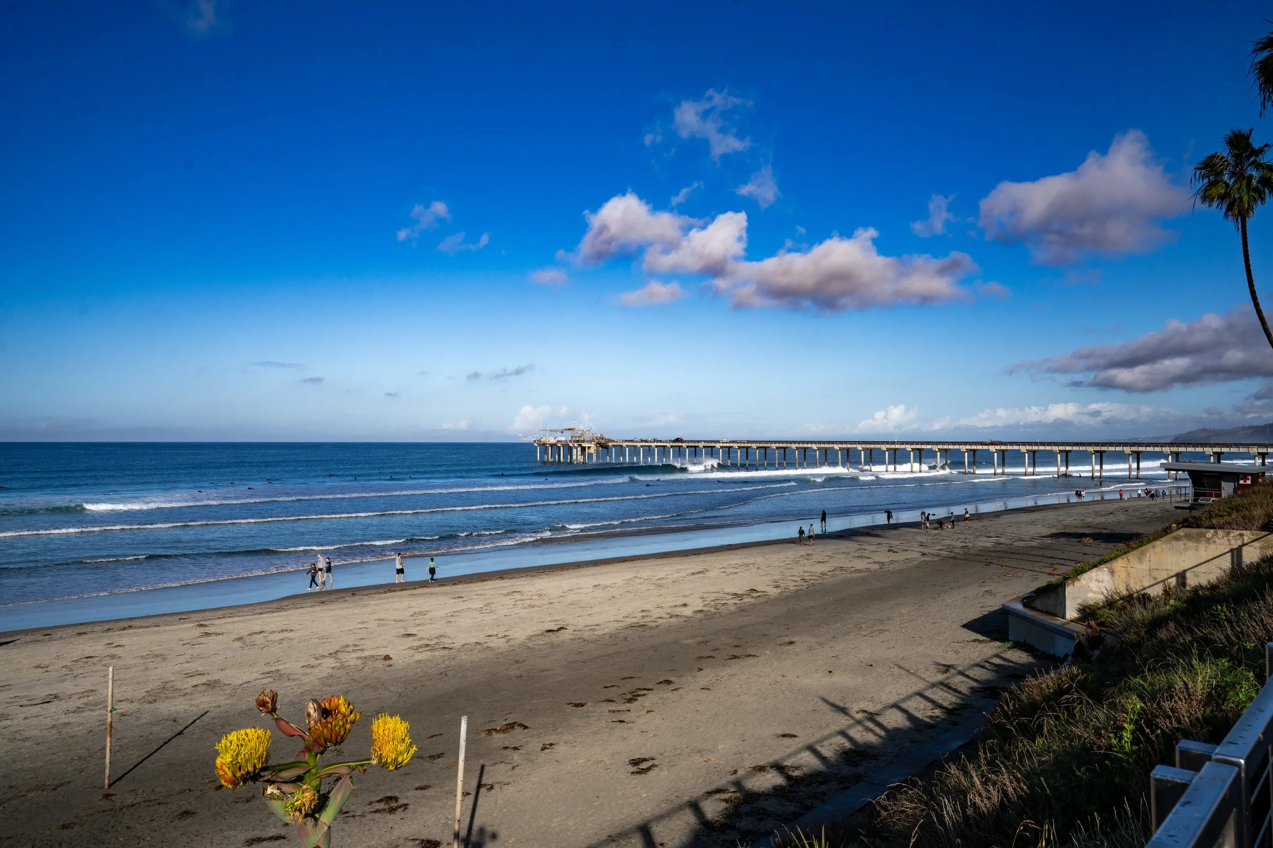 Sunny beach with a pier extending into the ocean, people walking along the shoreline, palm trees on the right, and a clear blue sky with some clouds.