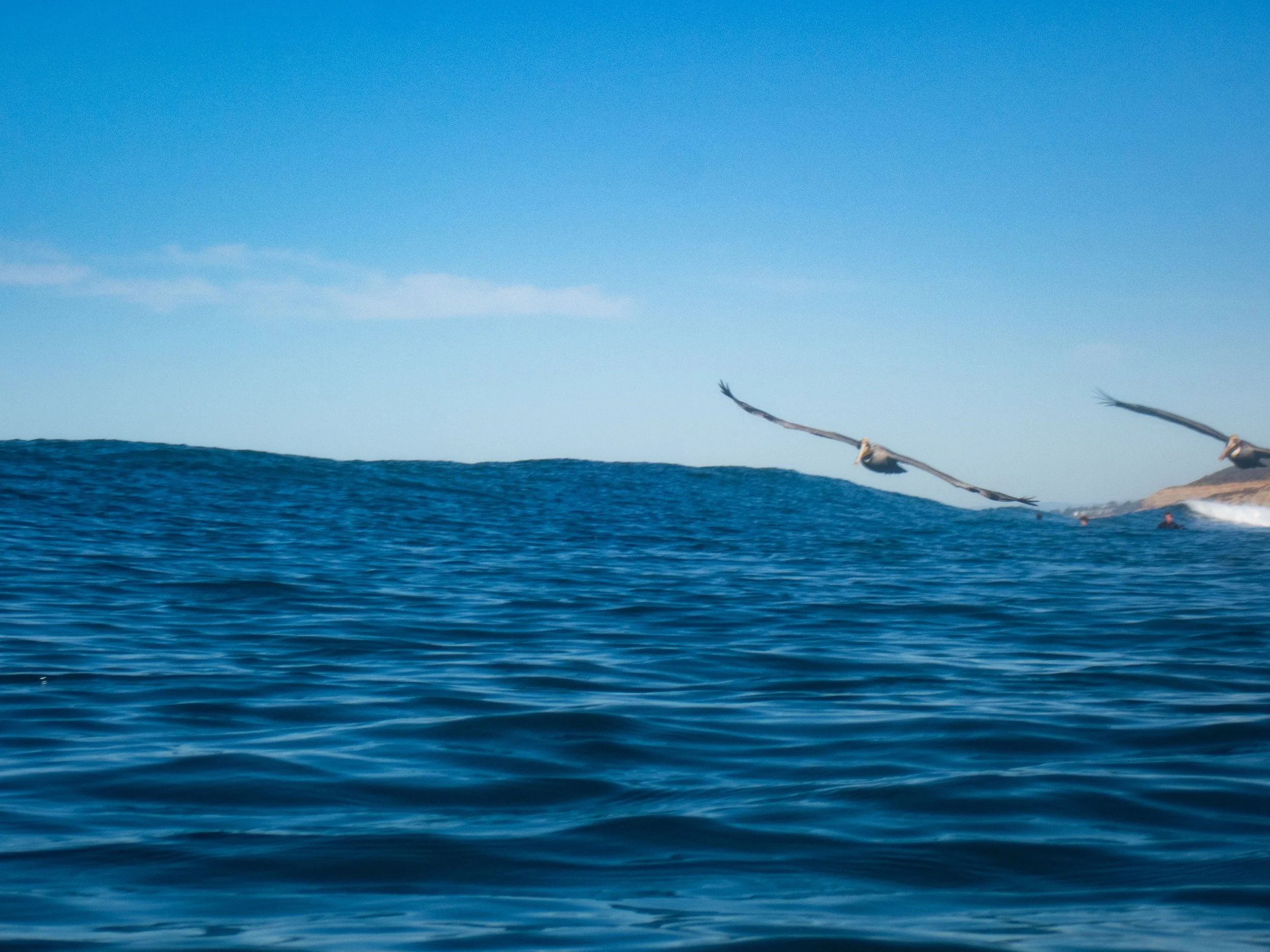Two pelicans flying low over the ocean, with a cliff in the distance and a clear blue sky.