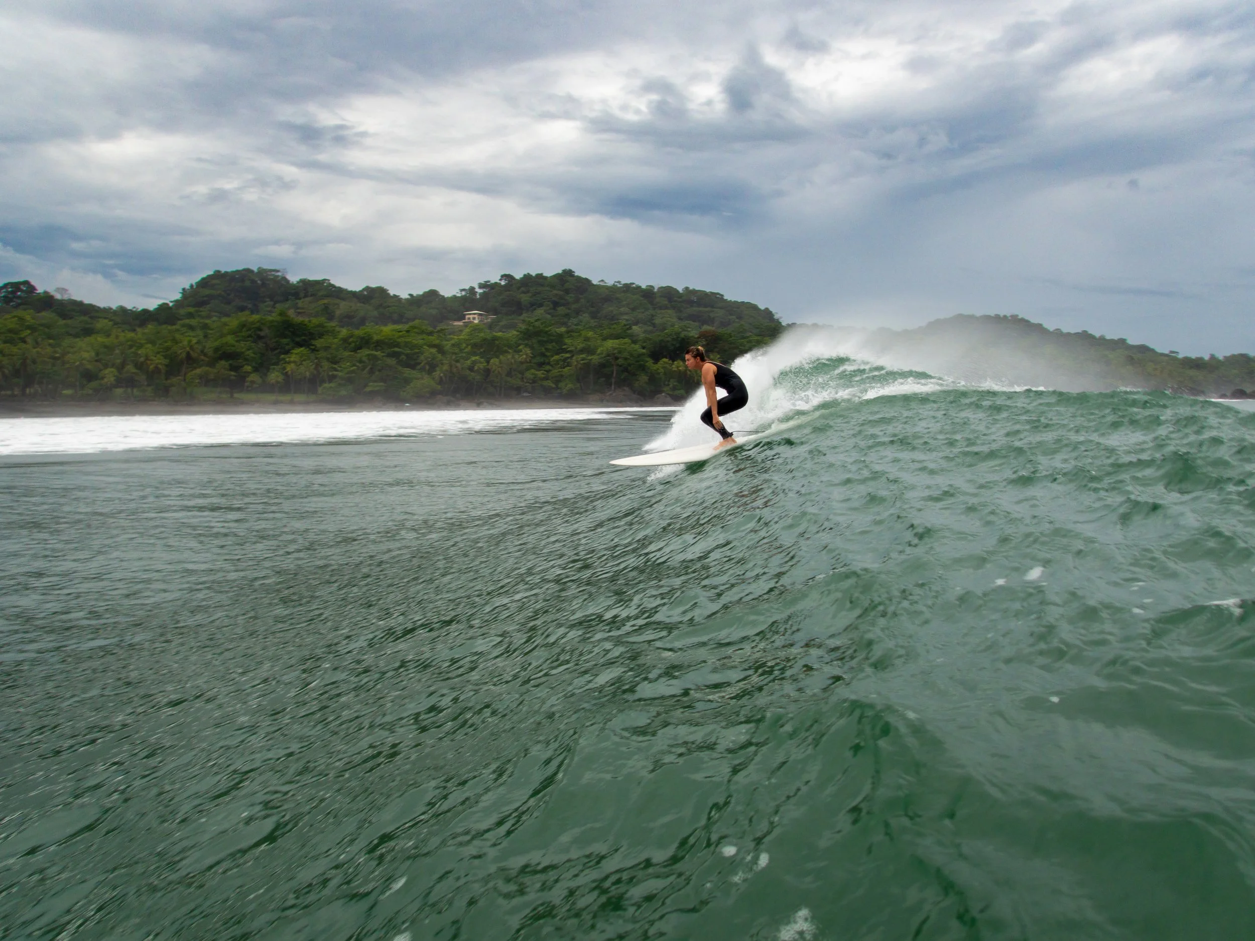 Surfer riding a wave with forested coastline in the background