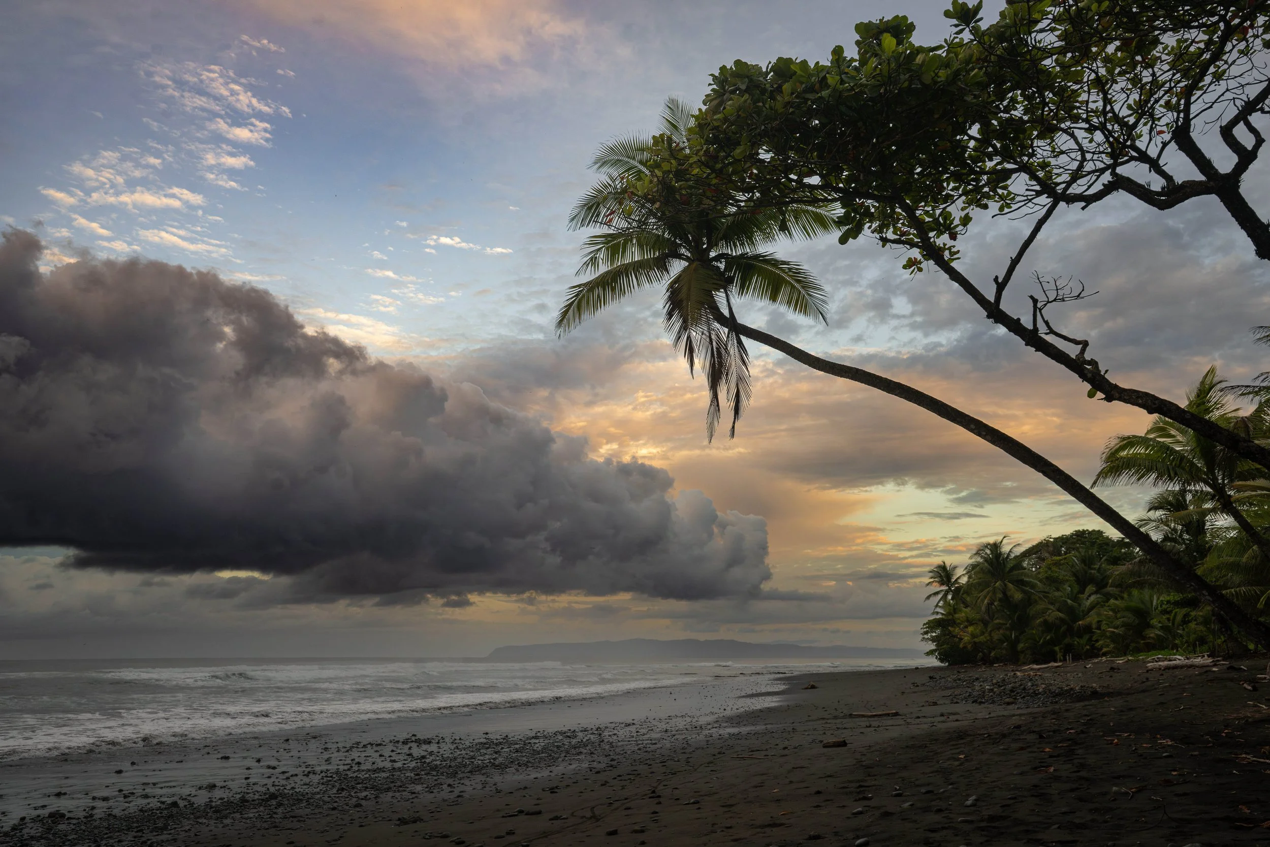 A tropical beach at sunset with palm trees, dark clouds, and the ocean in the background.