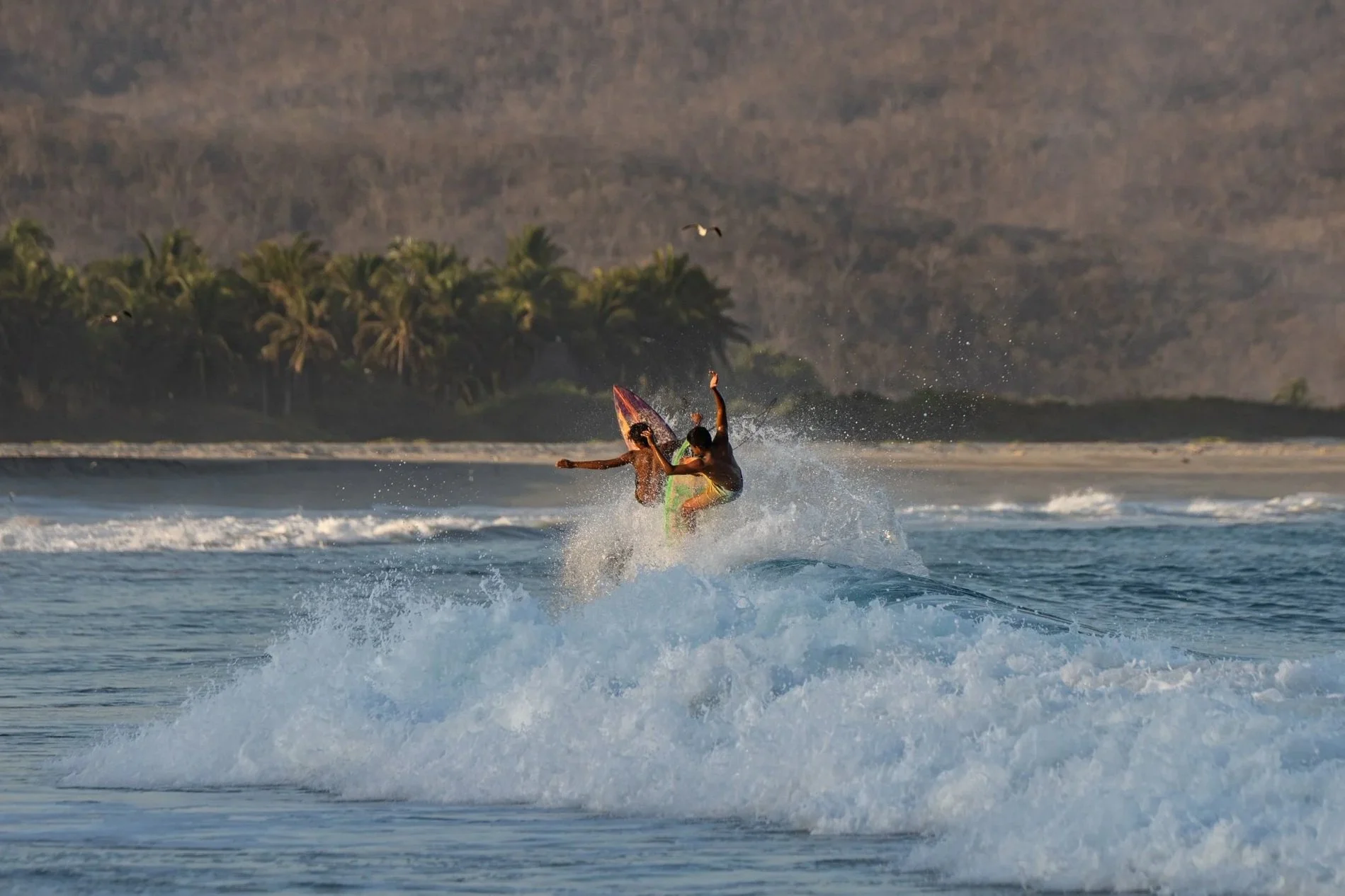 Two surfers riding a wave near a tropical beach with palm trees and hills in the background.