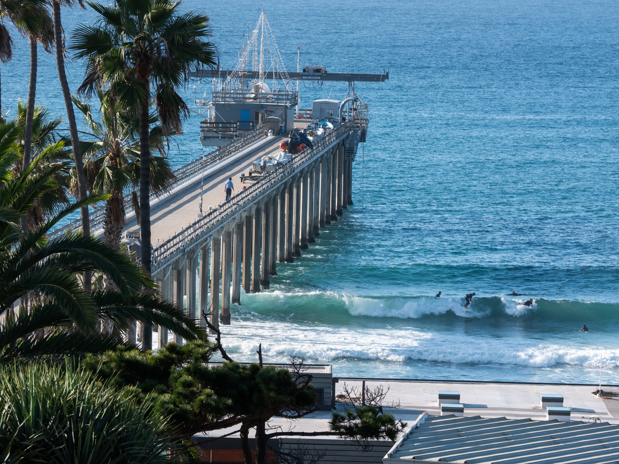A pier extending into the ocean with people walking on it, surrounded by palm trees. Surfers are riding waves below the pier. Buildings can be seen at the bottom of the image.