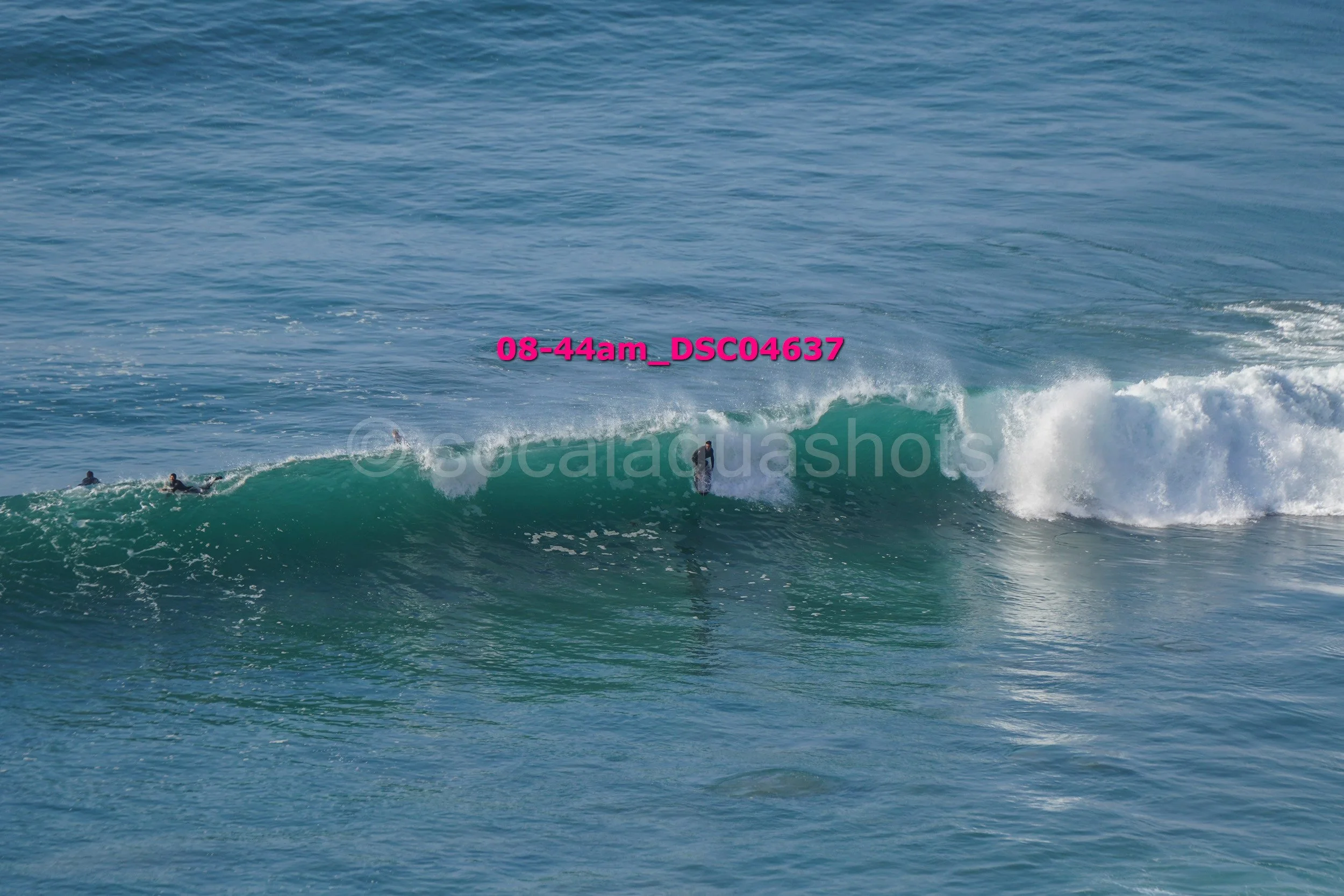 A person surfing on a wave in the ocean with several other surfers nearby, with the timestamp 08-44am and the file name DSC04637 marked across the image.