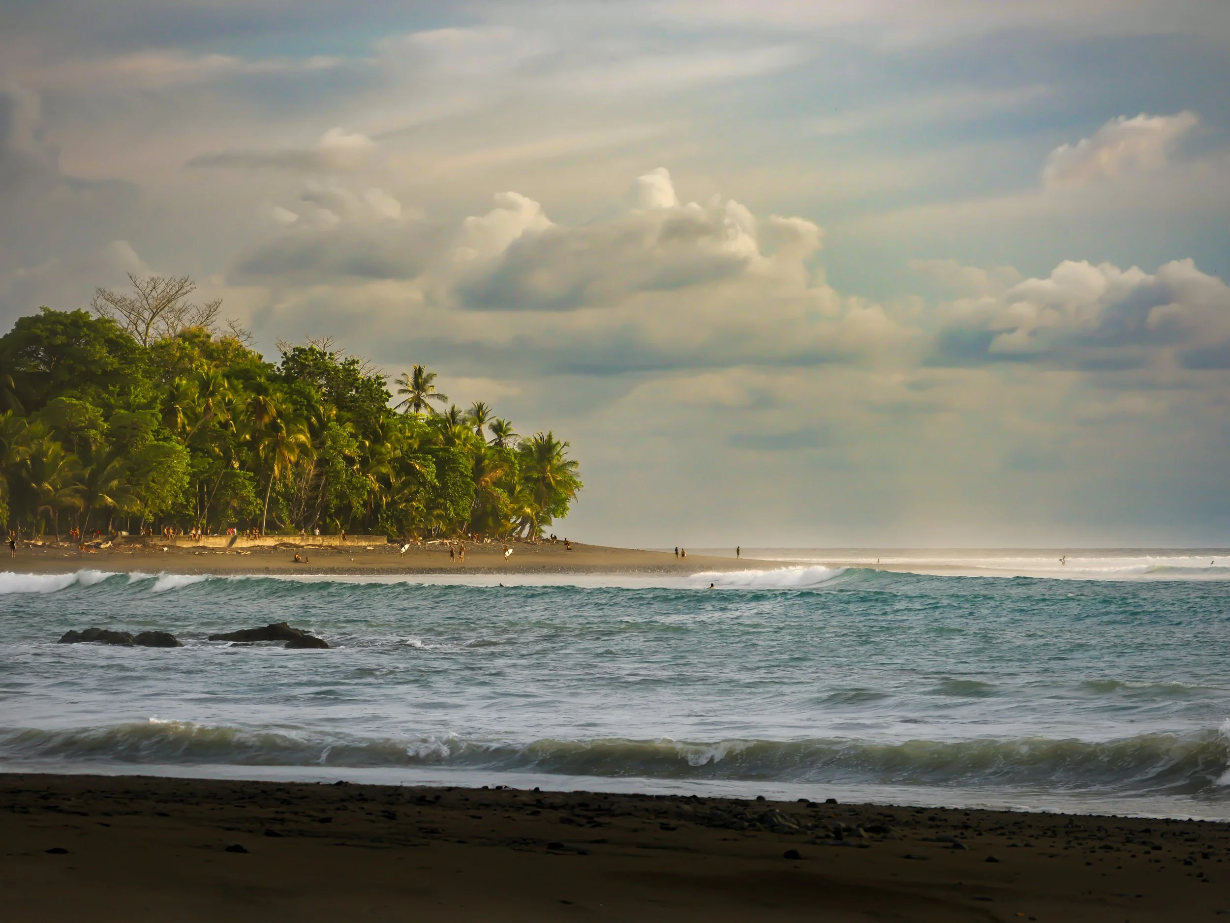 Tropical beach with palm trees, ocean waves, and cloudy sky
