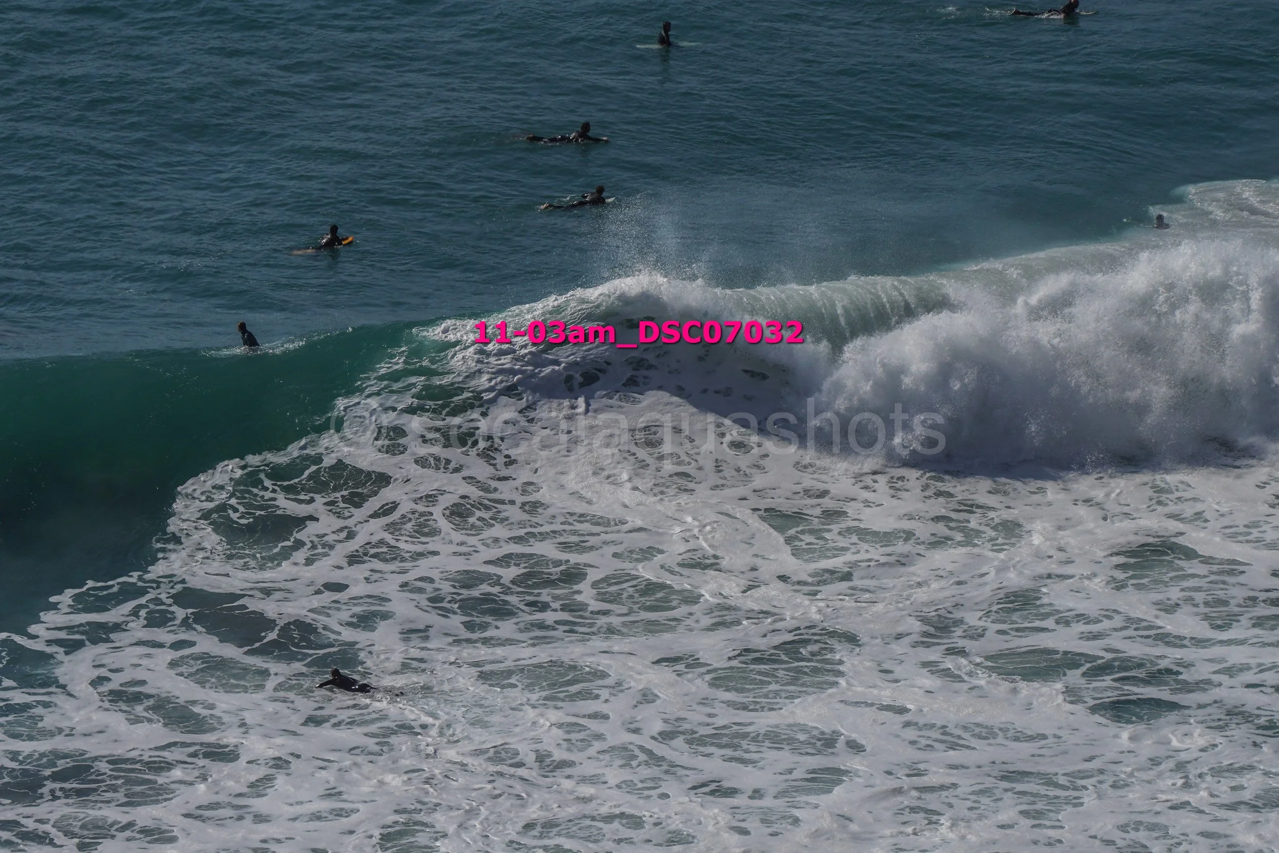 Multiple surfers in the ocean with some riding a wave and others swimming or waiting in the water.