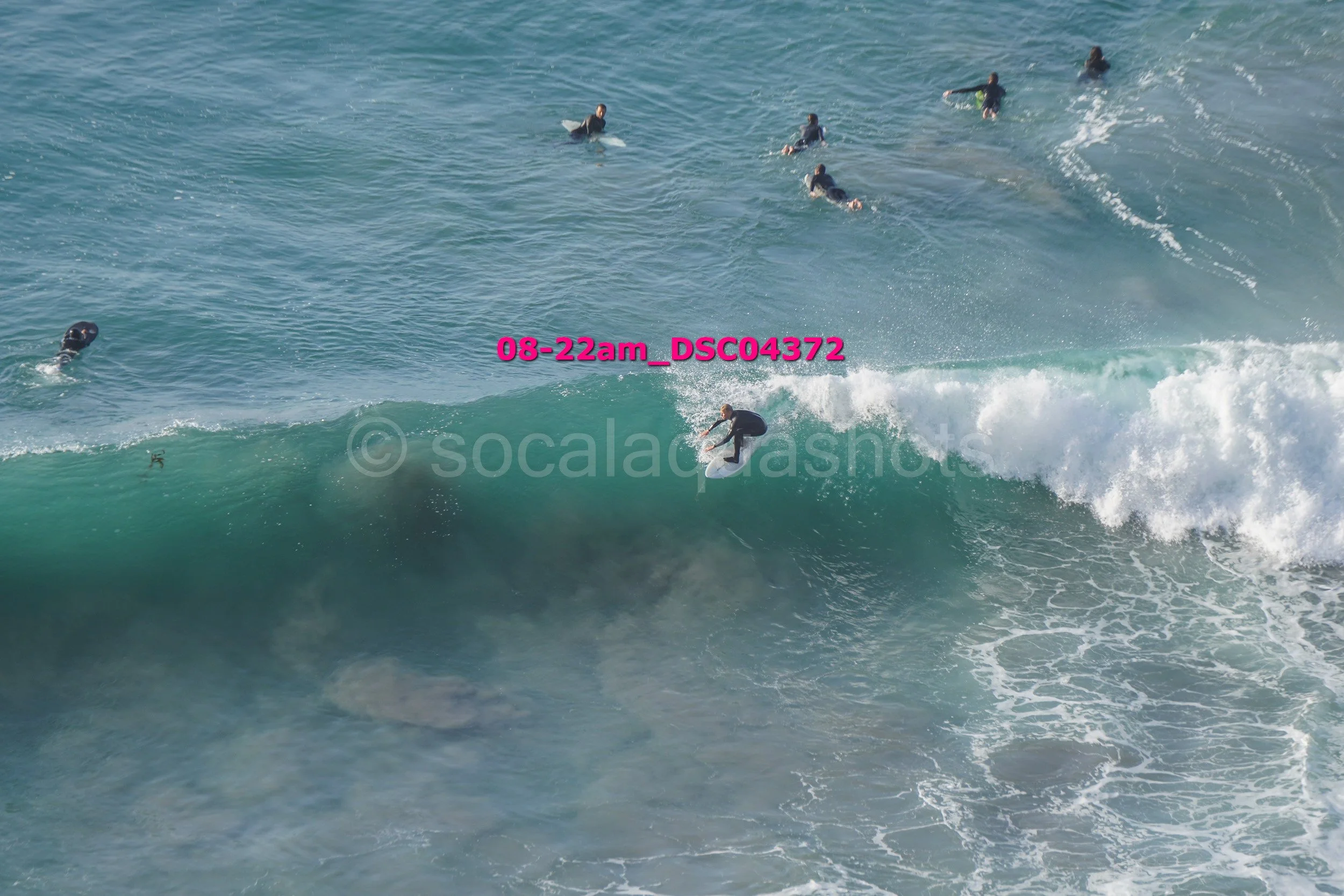 Person surfing on a large wave with several people in the water in the background.