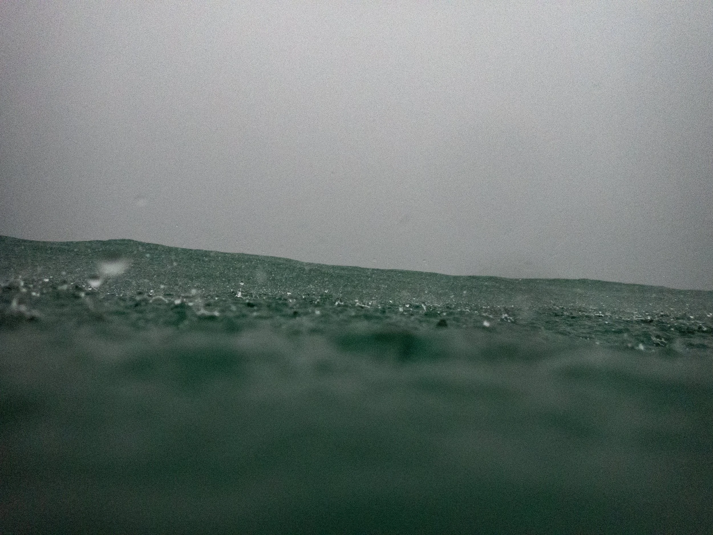 P9063150.jpg