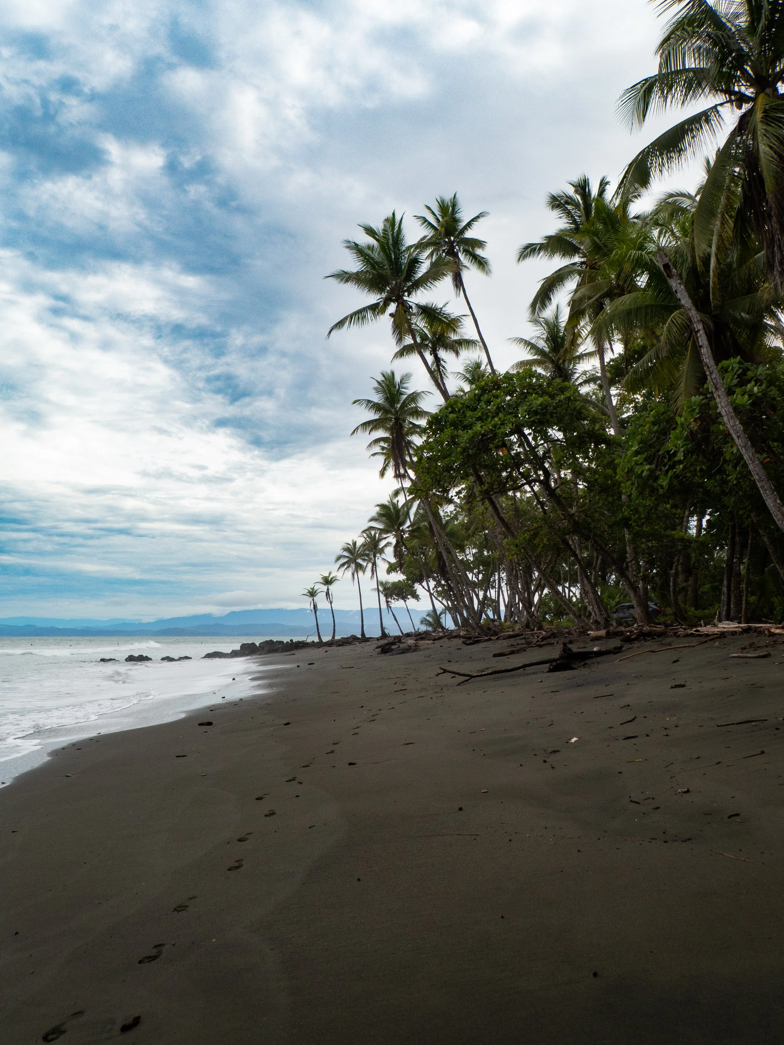A tropical beach with dark sand, bordered by lush green palm trees and a partly cloudy sky, with mountains in the distance.