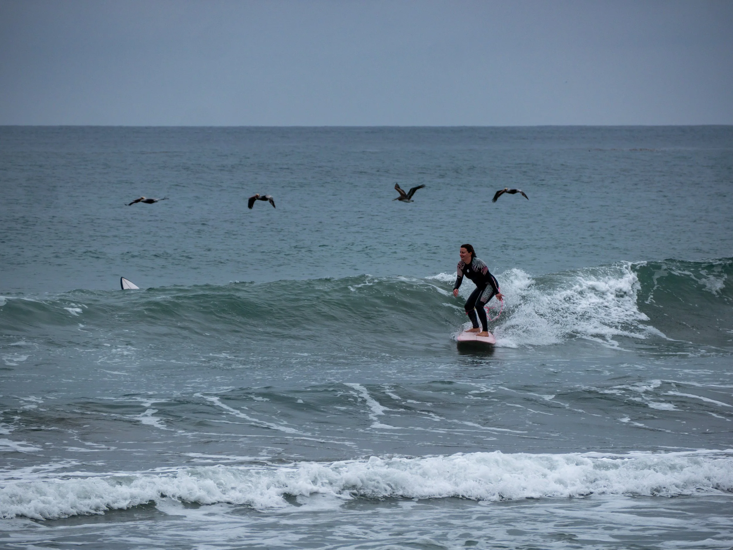 A woman surfing on a wave at the beach, with a seagull flying overhead.