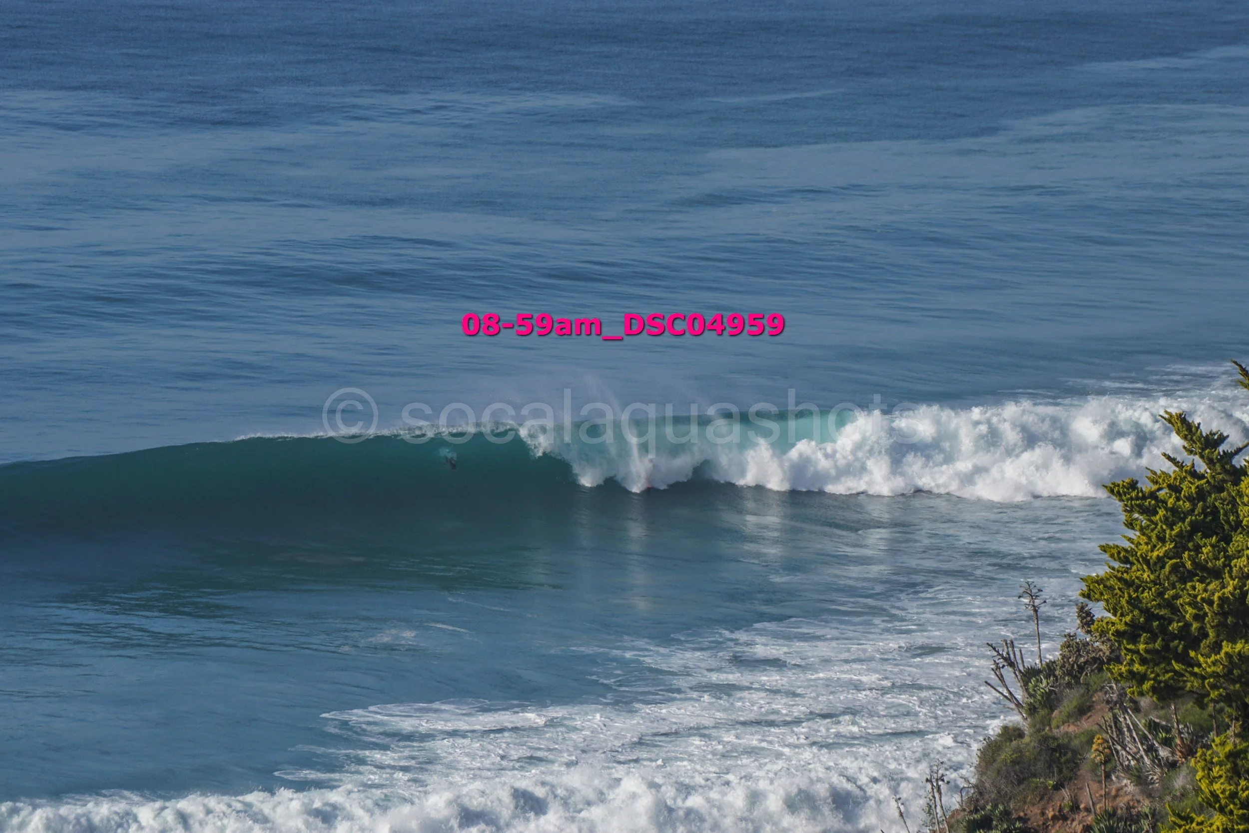 Ocean waves crashing near a rocky shoreline with green trees on the right.