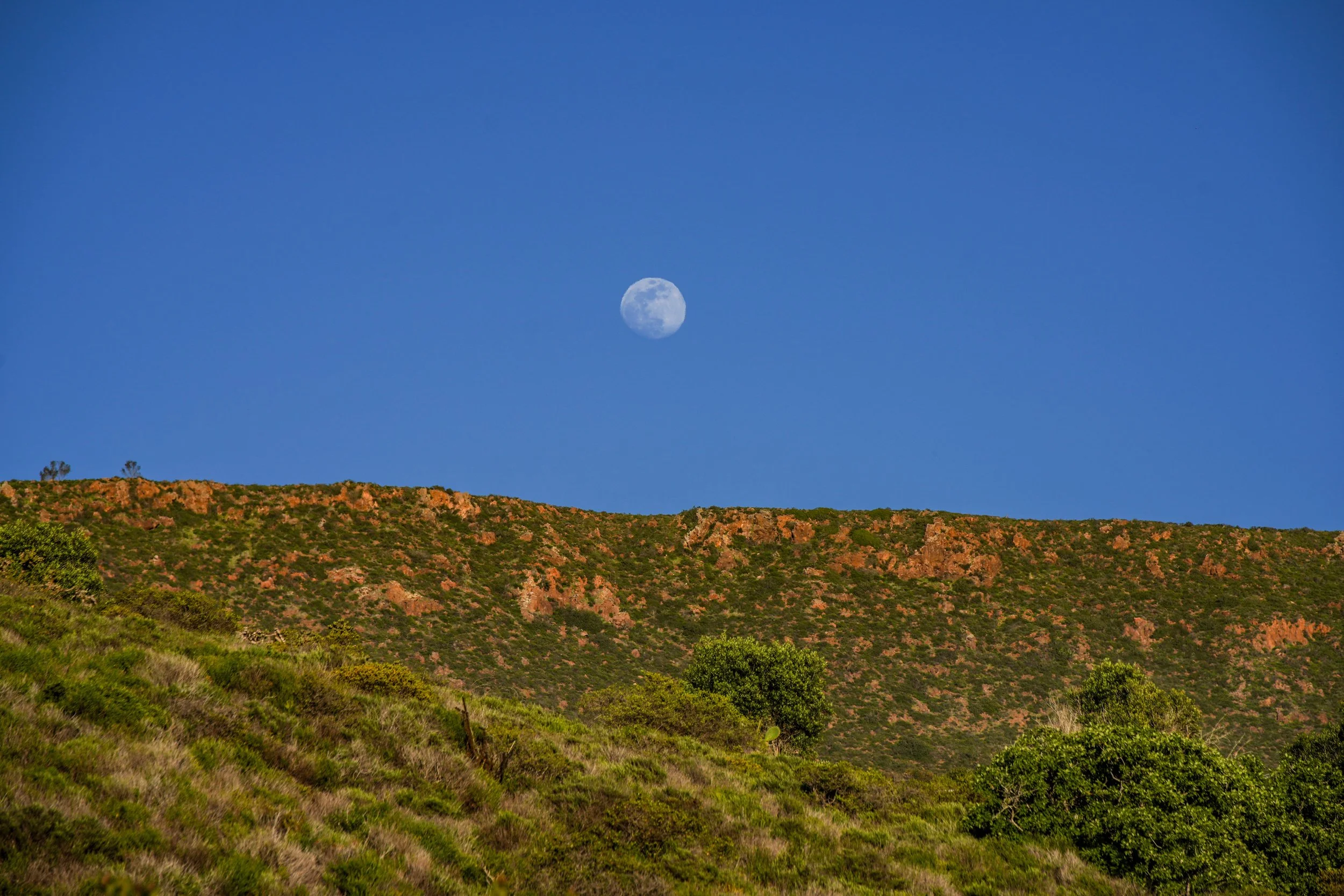 Landscape scene with green hills, a reddish-brown cliff, clear blue sky, and a visible moon.