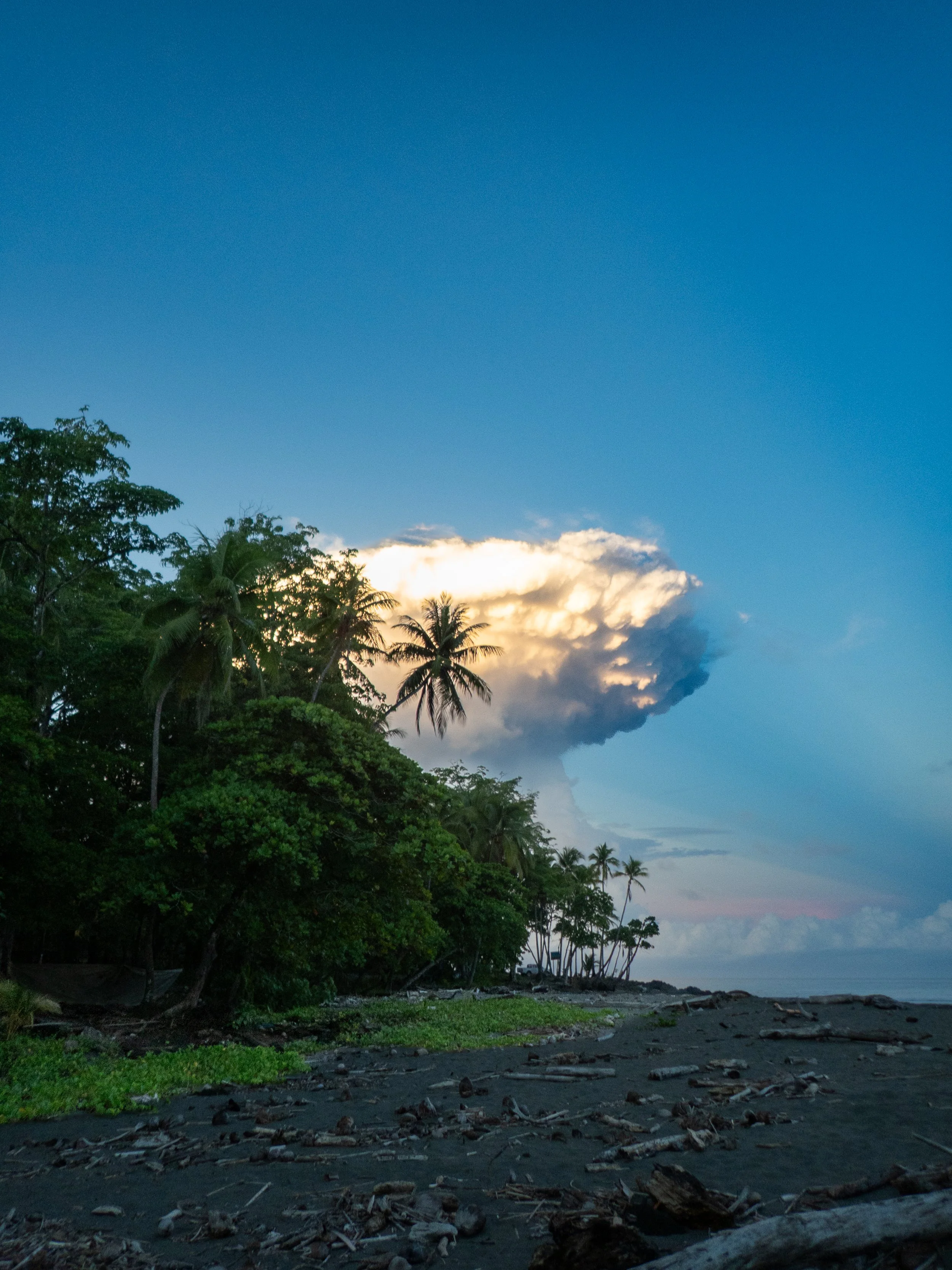 Dark sandy beach with scattered debris and rocks, dense green tropical trees, and a partly cloudy sky with the sun setting or rising in the background.