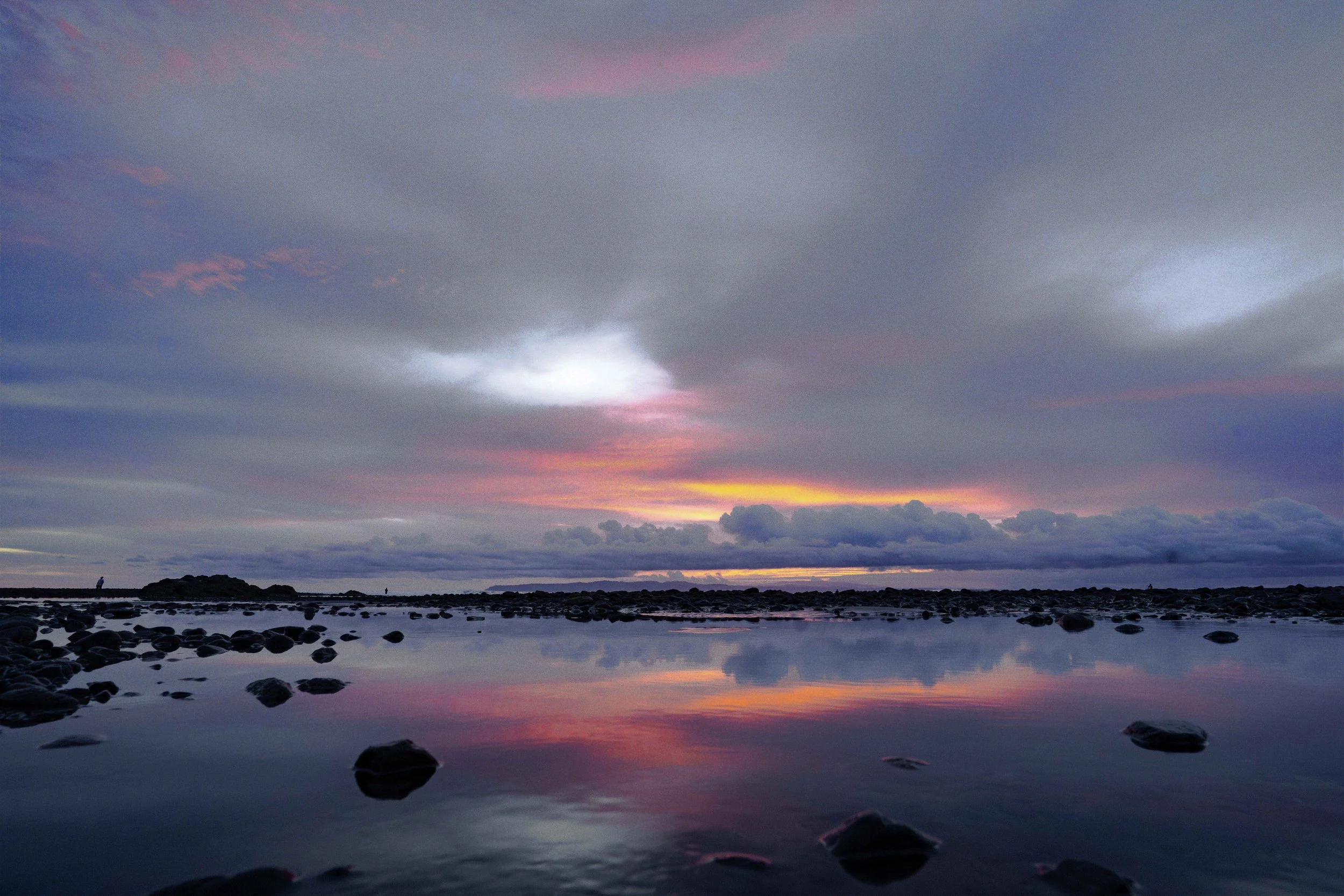 DSC08775.jpg