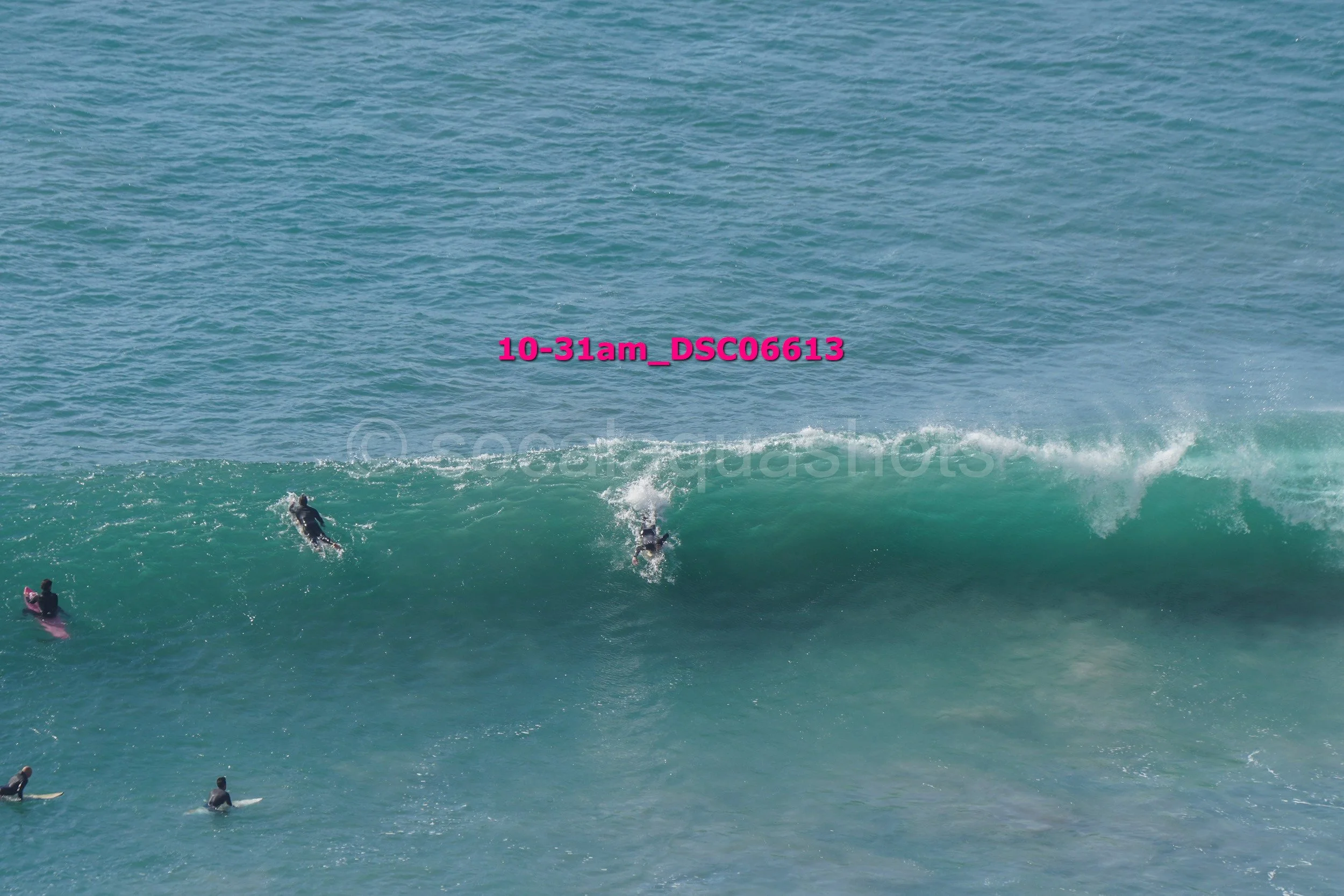 A group of surfers riding and waiting for waves in the ocean.