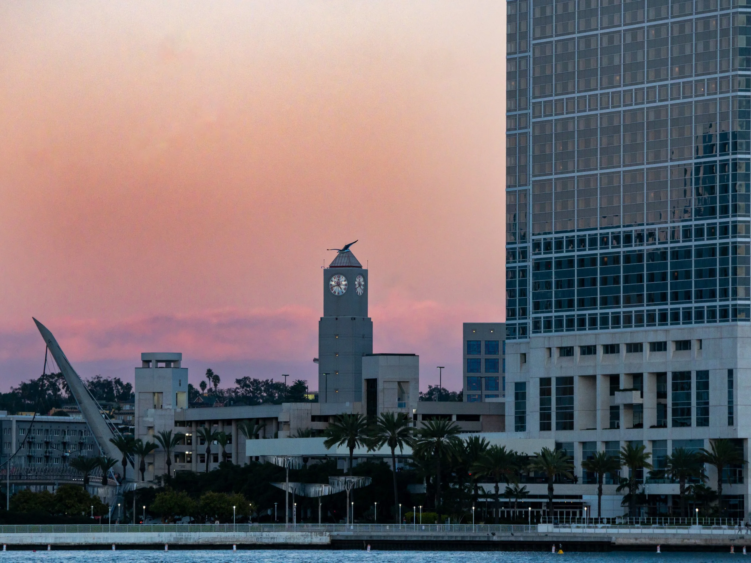 Skyline of a city with tall buildings, a clock tower with a bird on top, palm trees, and a body of water in the foreground during sunset.