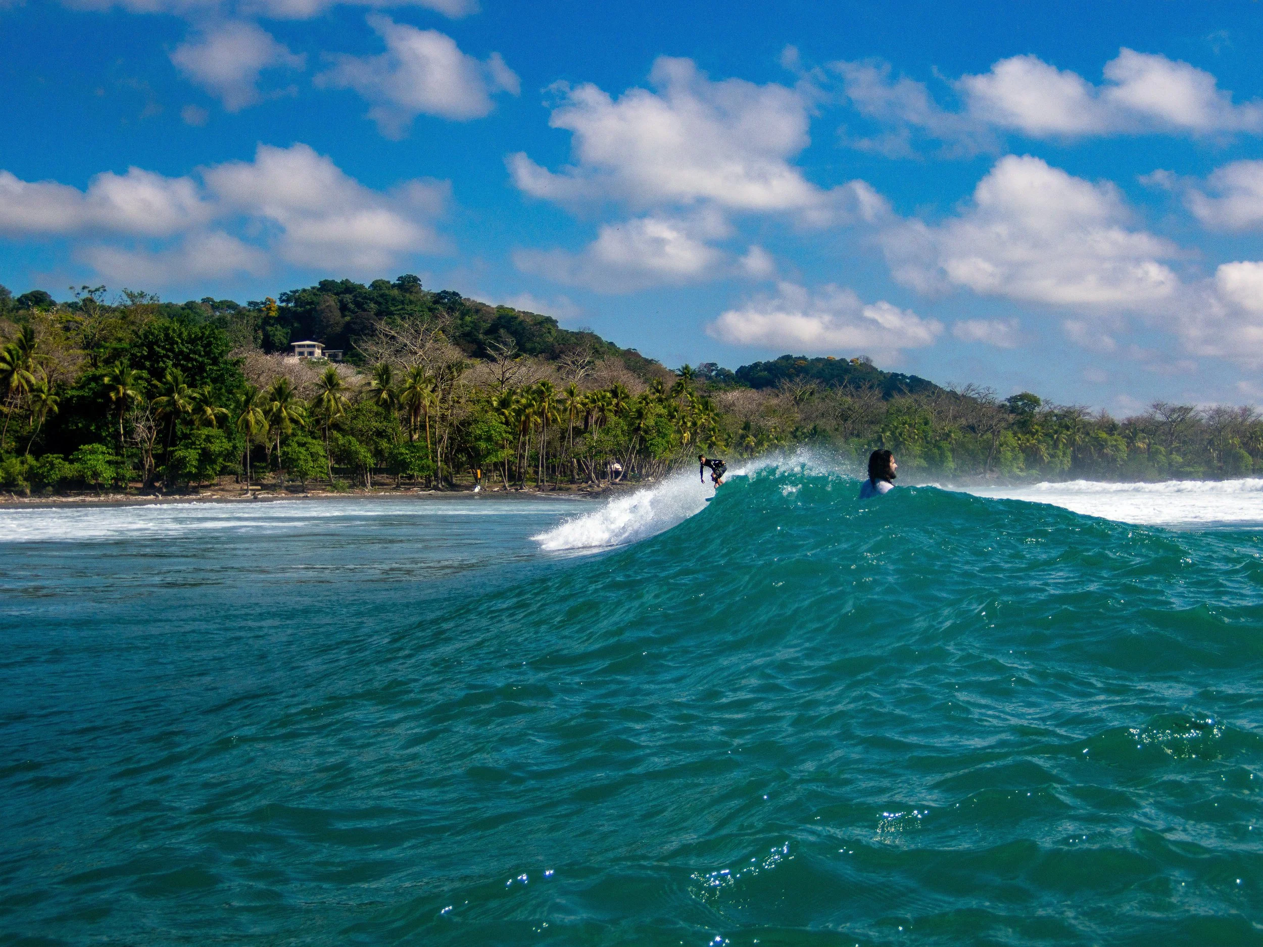 Surfers riding waves with a tropical forest and cloudy sky backdrop