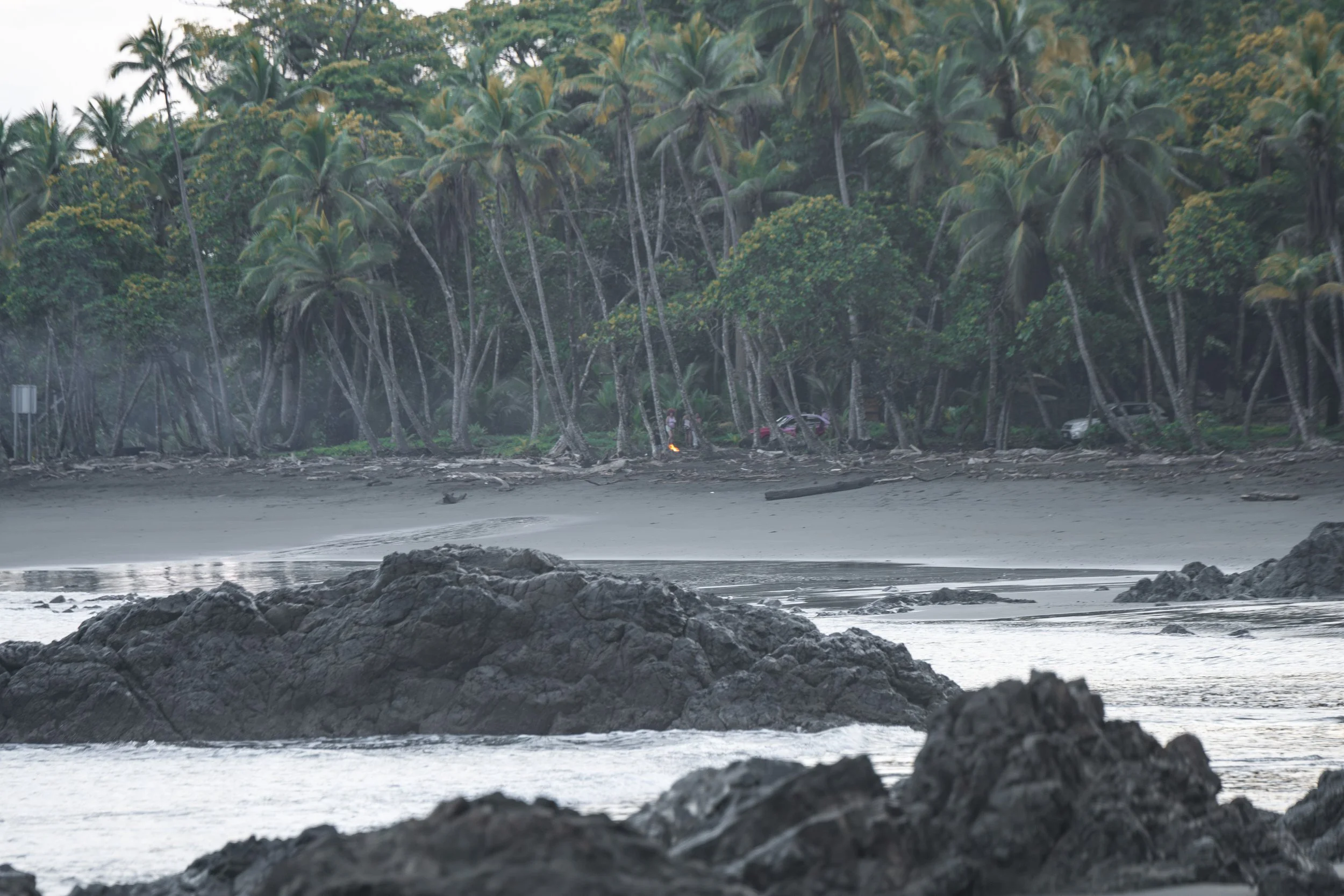 Tropical beach with dark rocks in the foreground, white sand, and a dense grove of tall palm trees in the background under a cloudy sky.