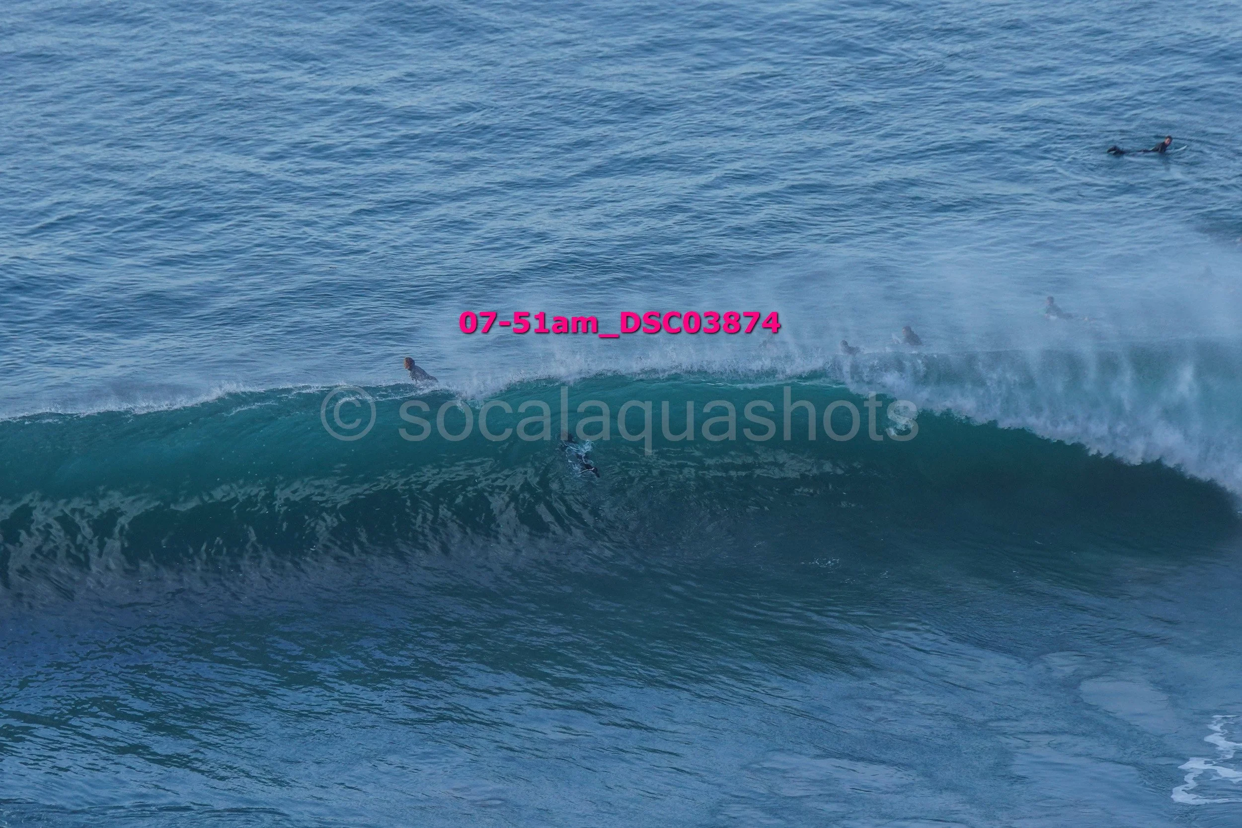 Several surfers in the ocean, some riding a wave while others are waiting in the water.