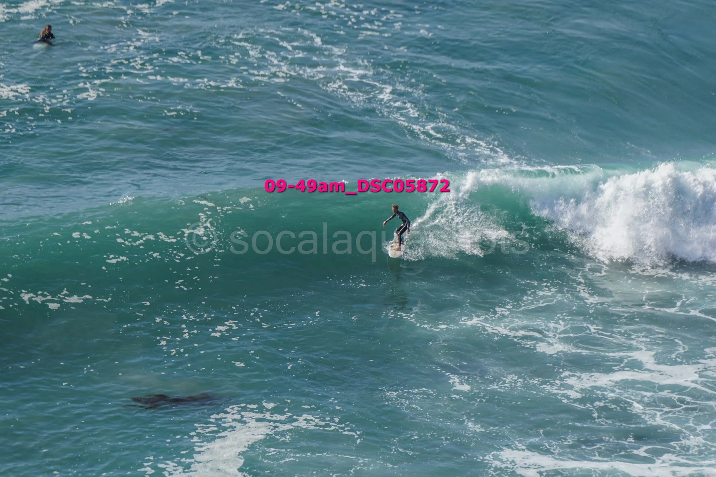 A person surfing on a wave in the ocean with another surfer visible in the distance and a sea lion swimming near the surface.