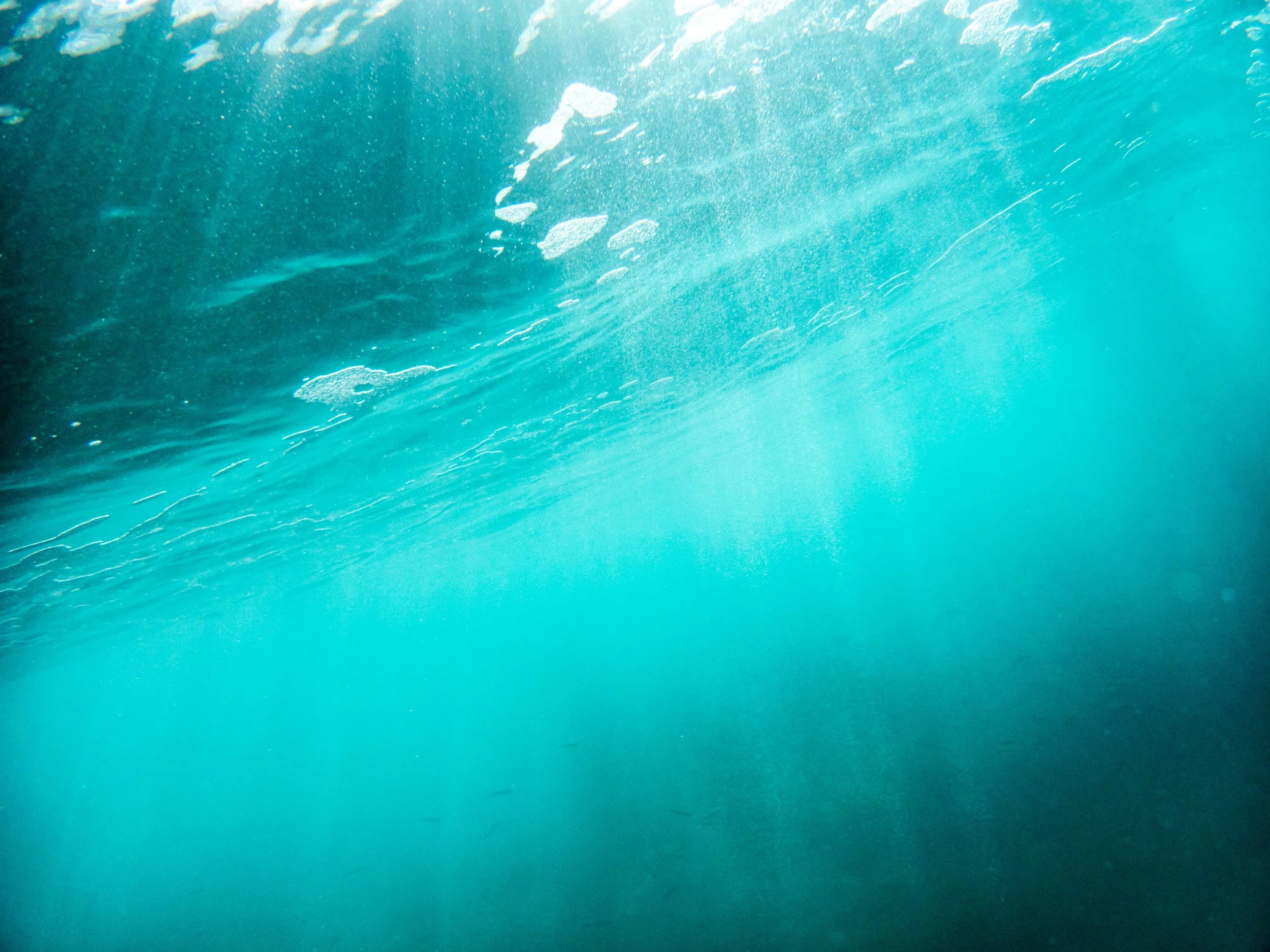 Underwater view of the ocean with sunlight shining through the water and bubbles rising to the surface.
